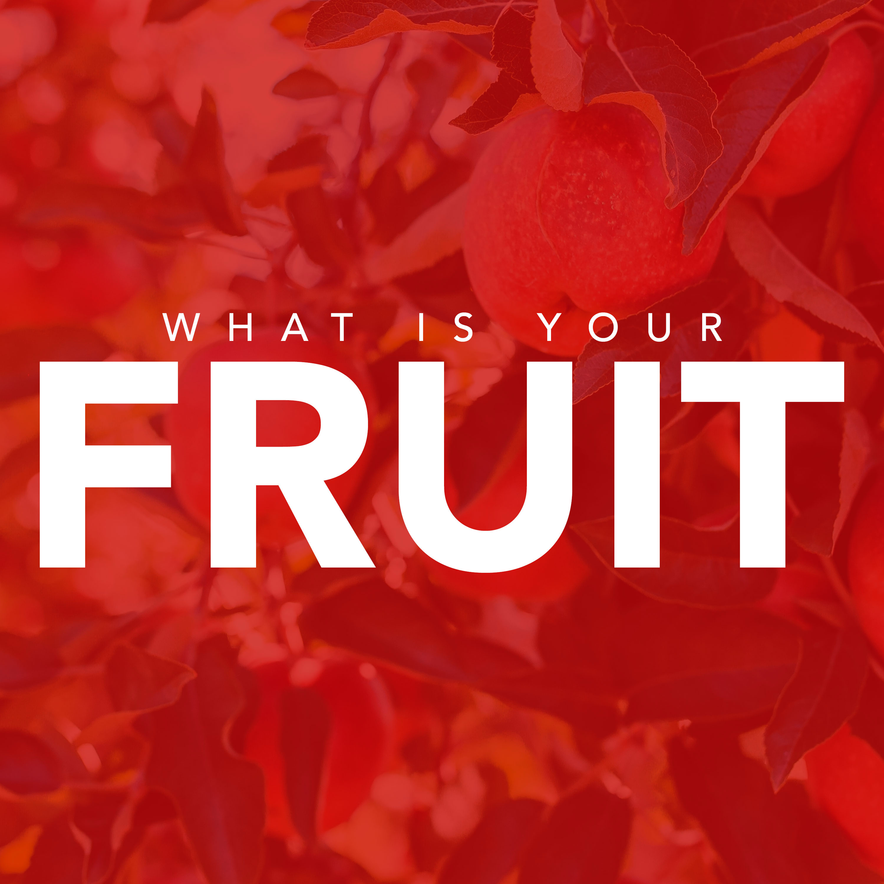 What Is Your Fruit? episode artwork