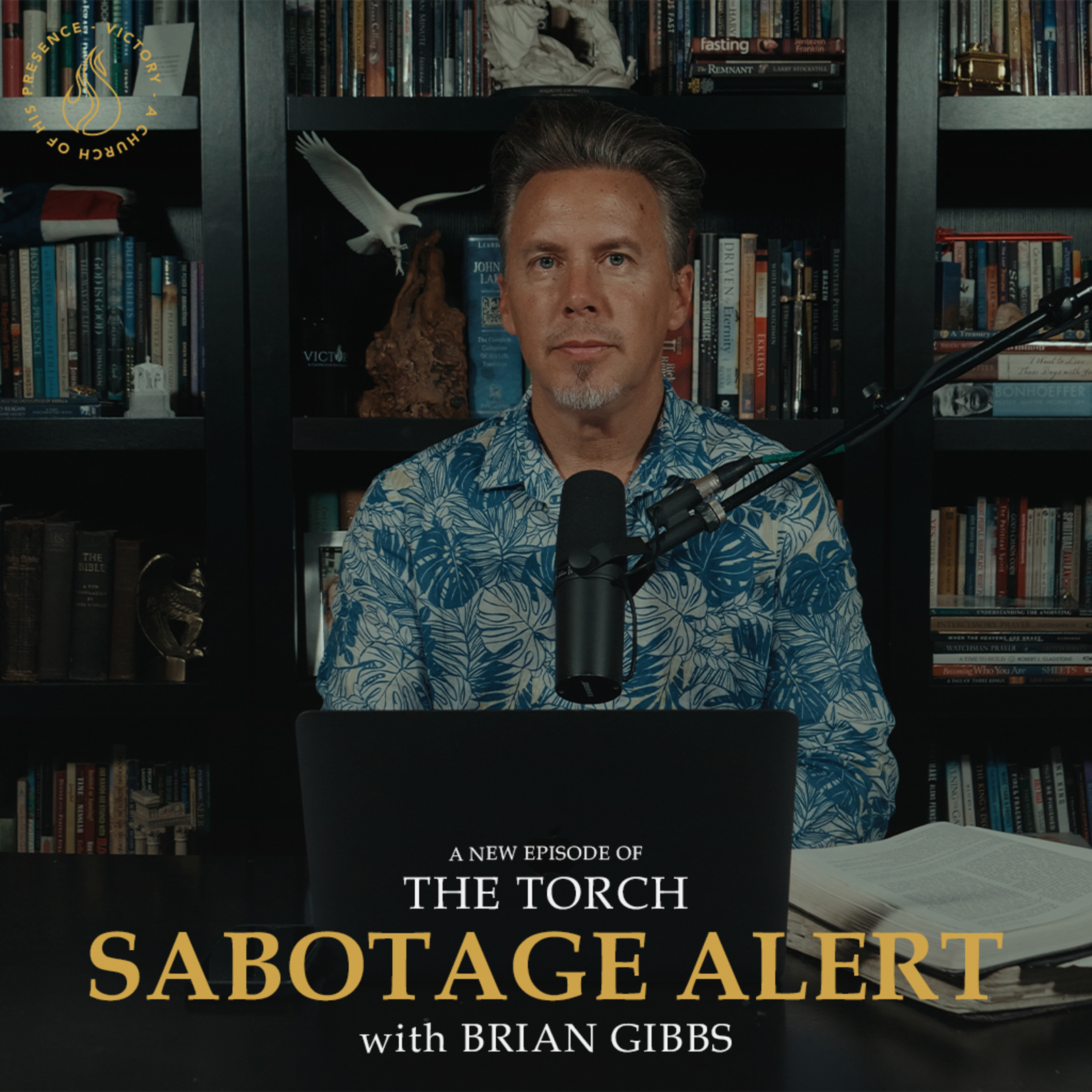 The Torch