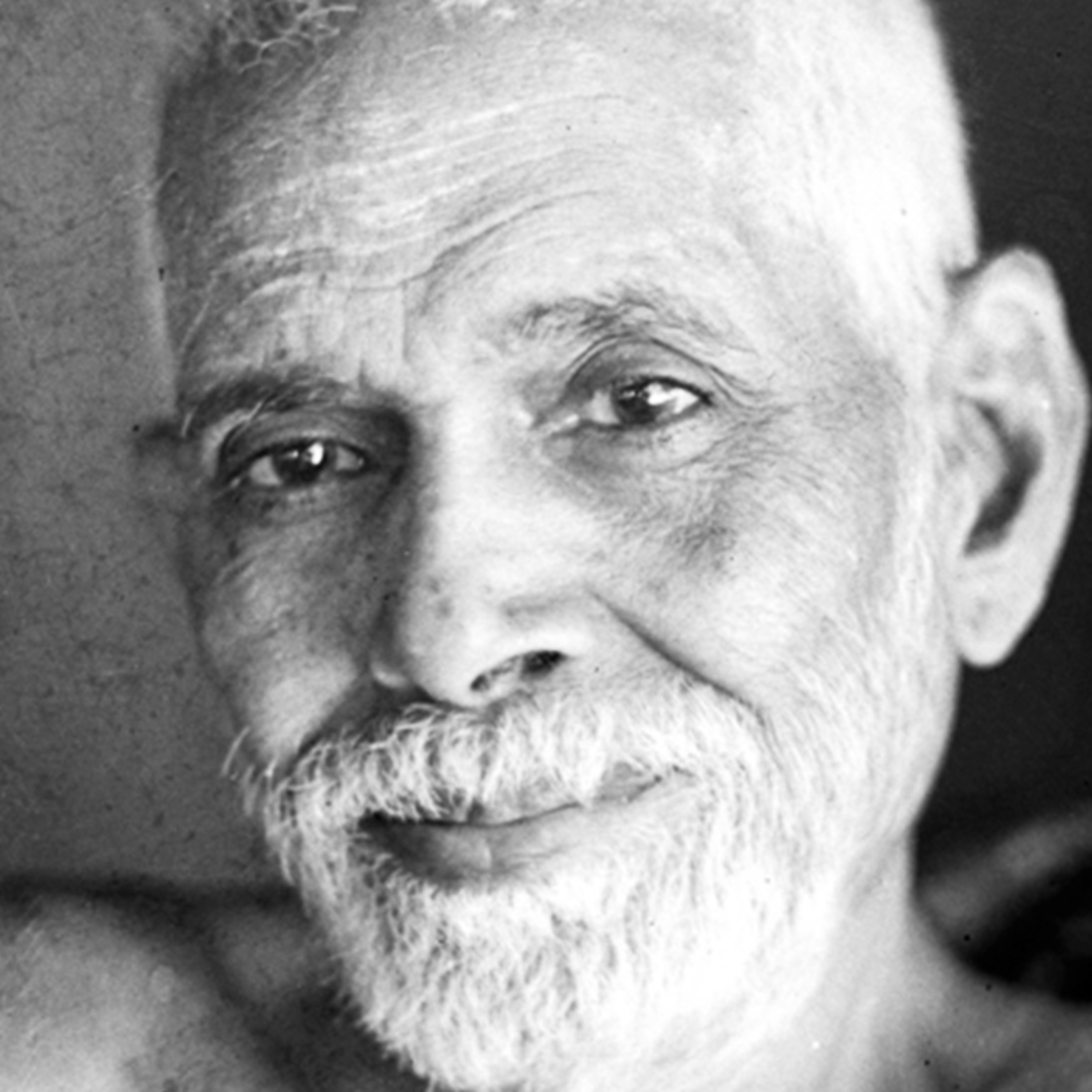 261. From Busyness to Stillness - Non Duality Satsang episode artwork