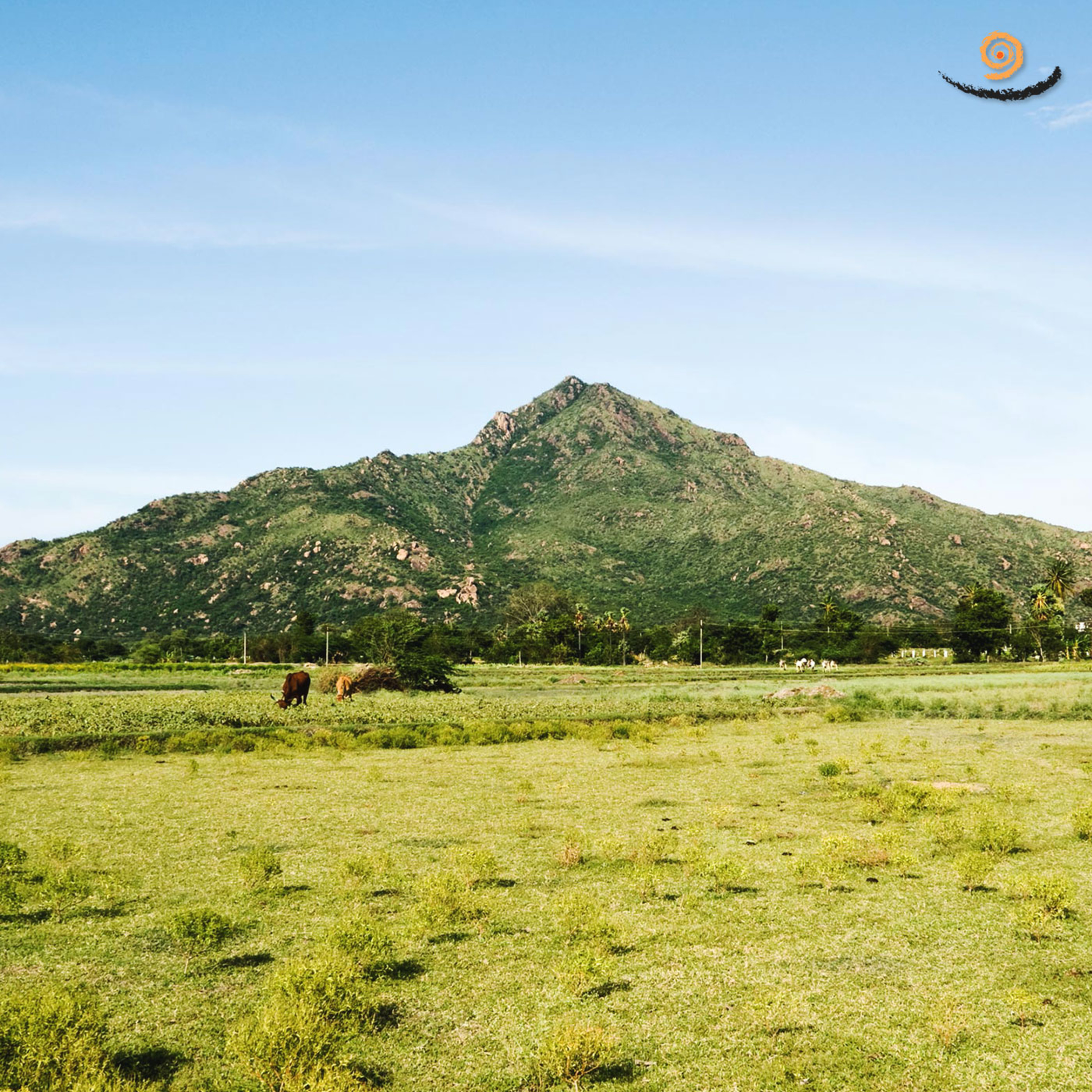 376. Don't Go to Tarot Reader! - Gems from the Past episode artwork
