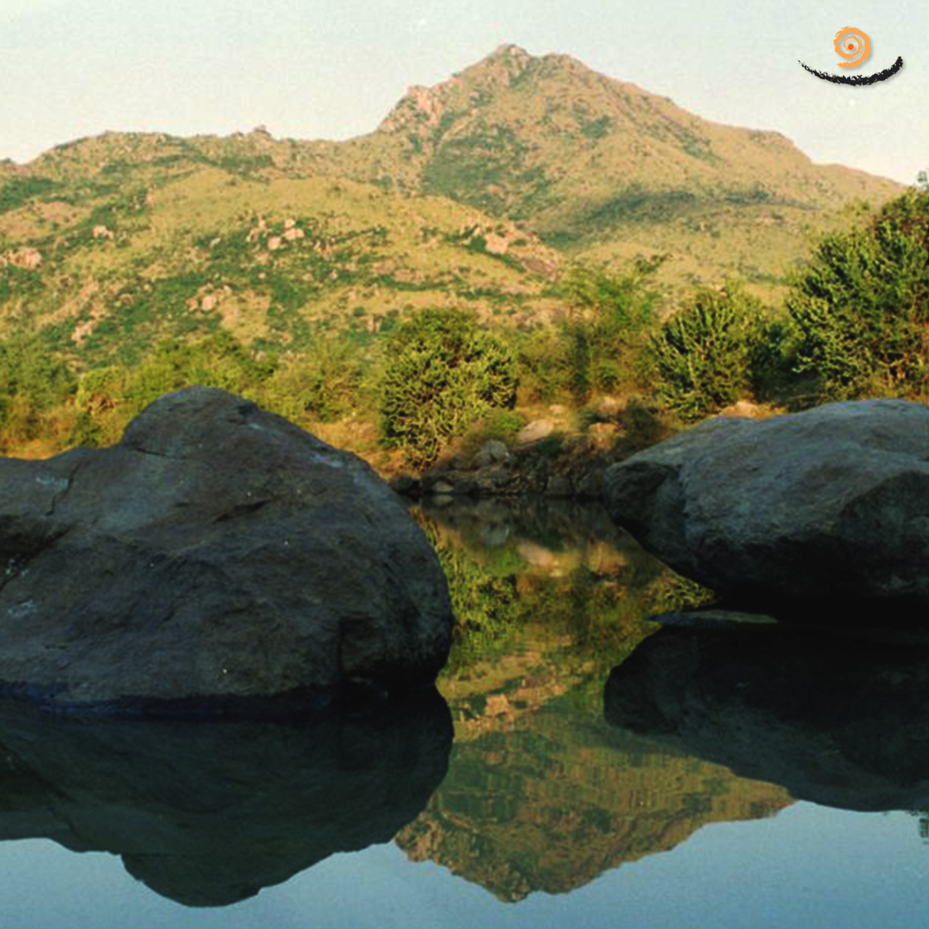 573. Don't postpone your enlightenment - Gems from the Past