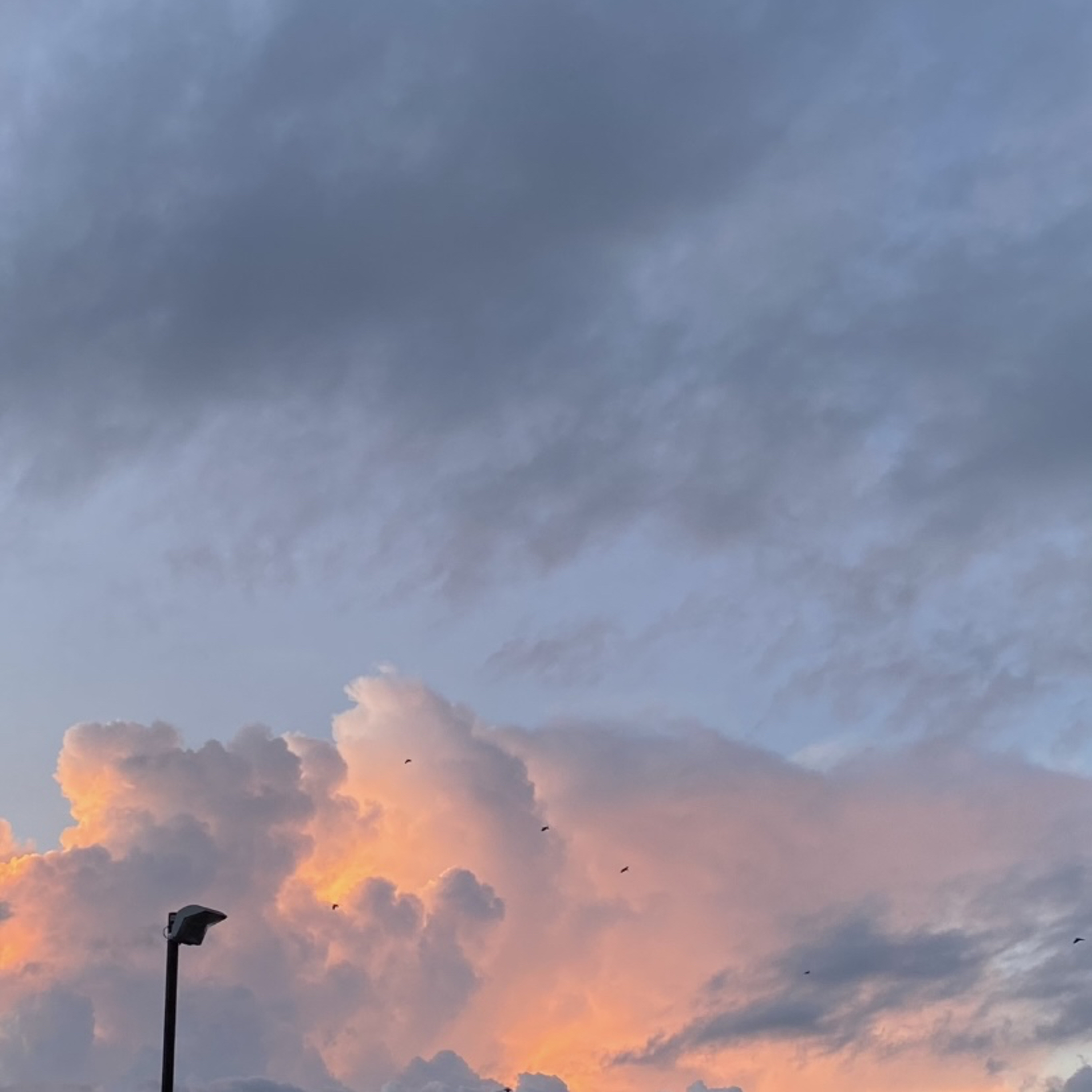 SCB PODCAST(サテライトシティブックスポッドキャスト)