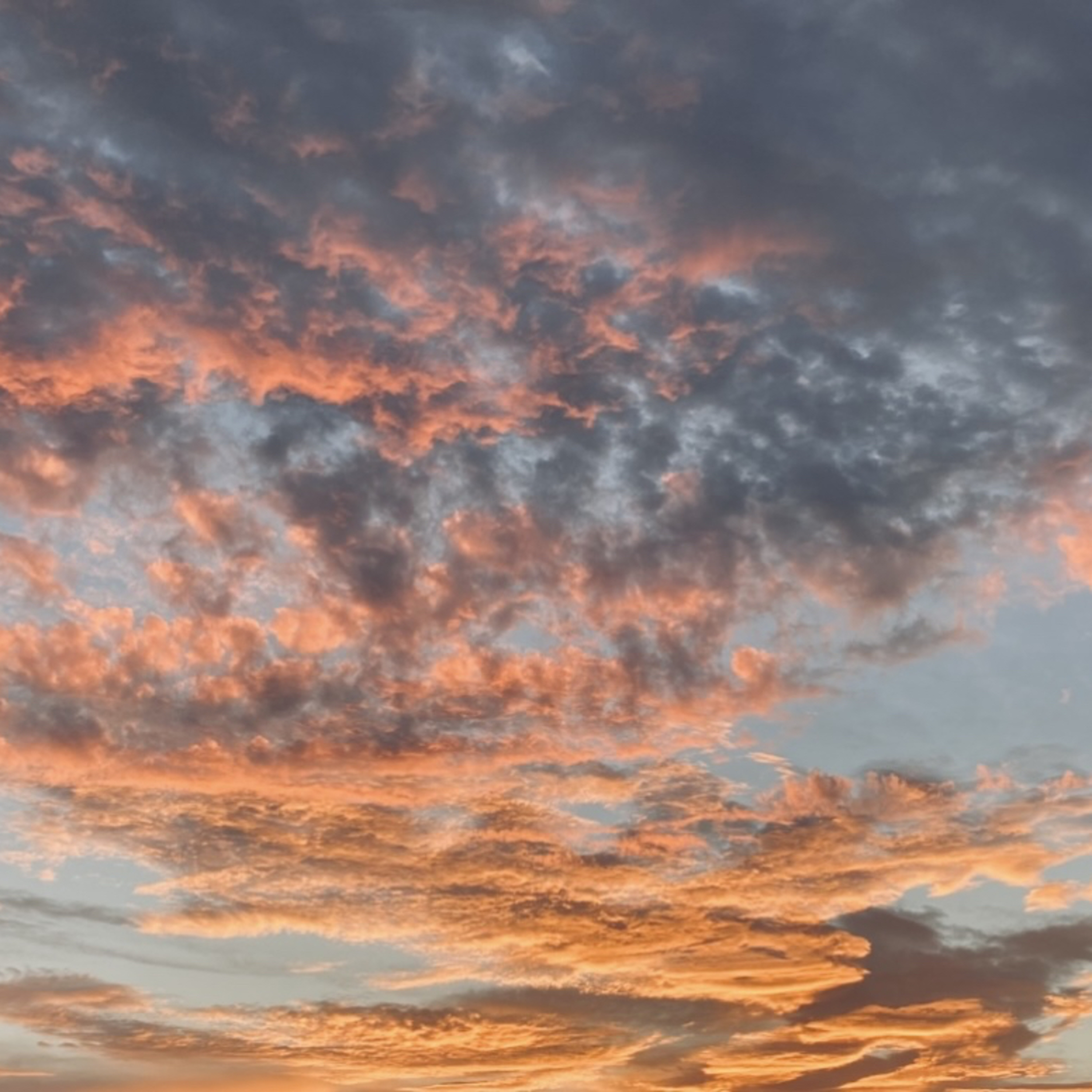 SCB PODCAST(サテライトシティブックスポッドキャスト)