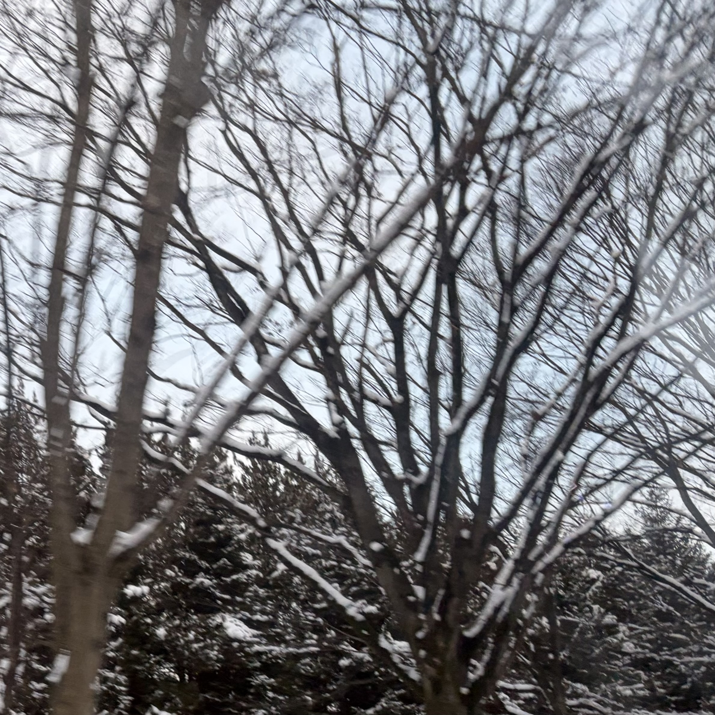 SCB PODCAST(サテライトシティブックスポッドキャスト)