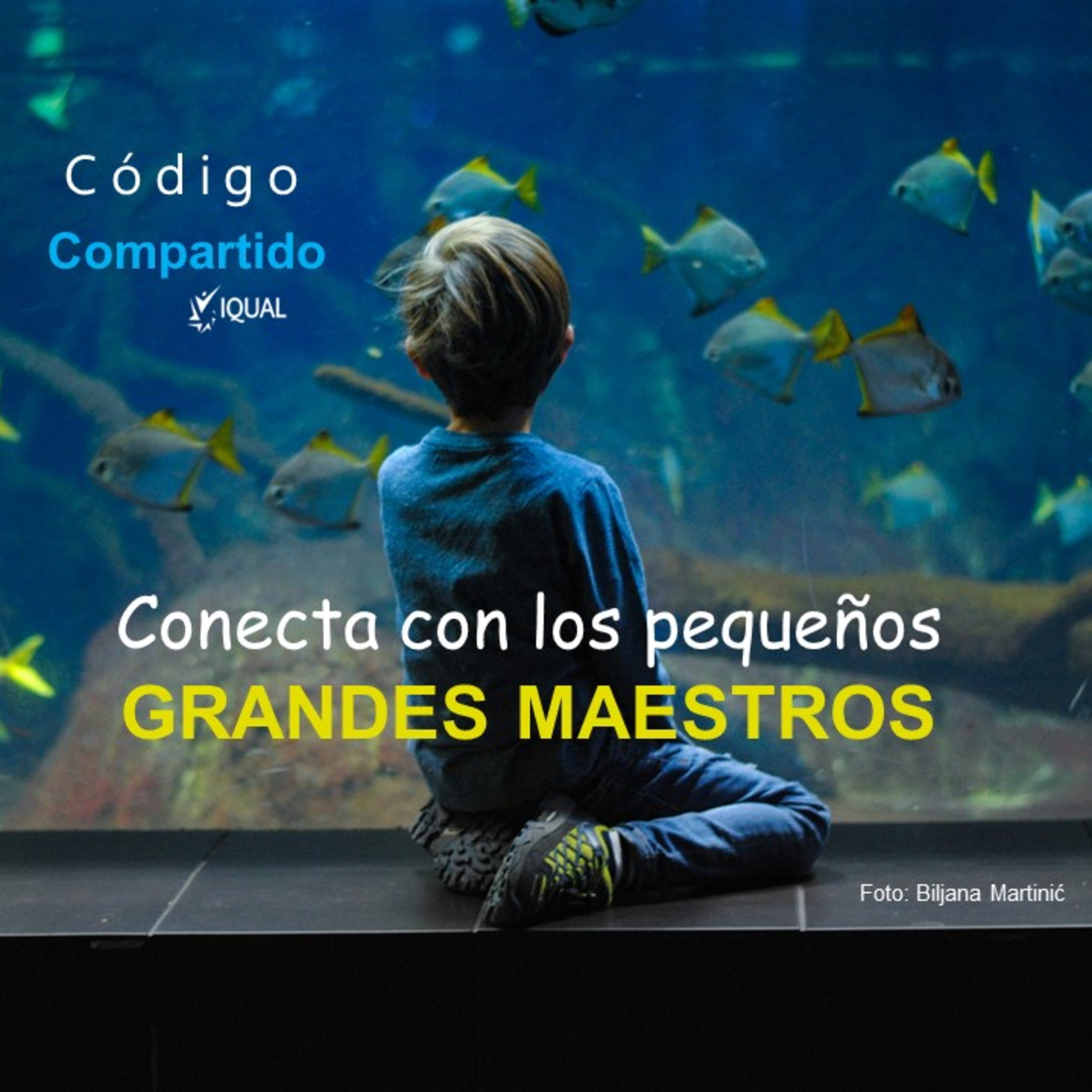 Portada de Código Compartido