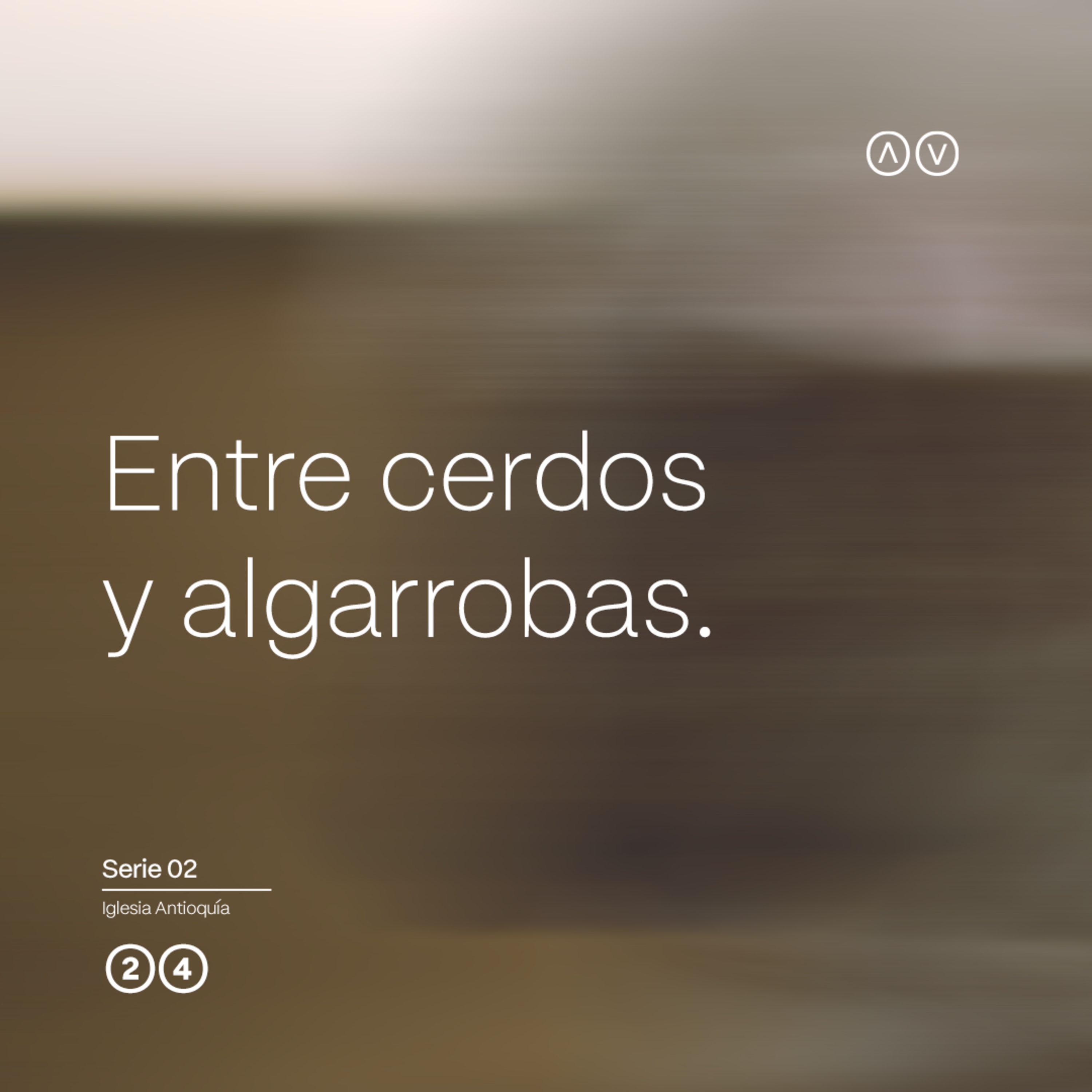 Entre cerdos y algarrobas | Alfonso Muñoz | 2024 episode artwork