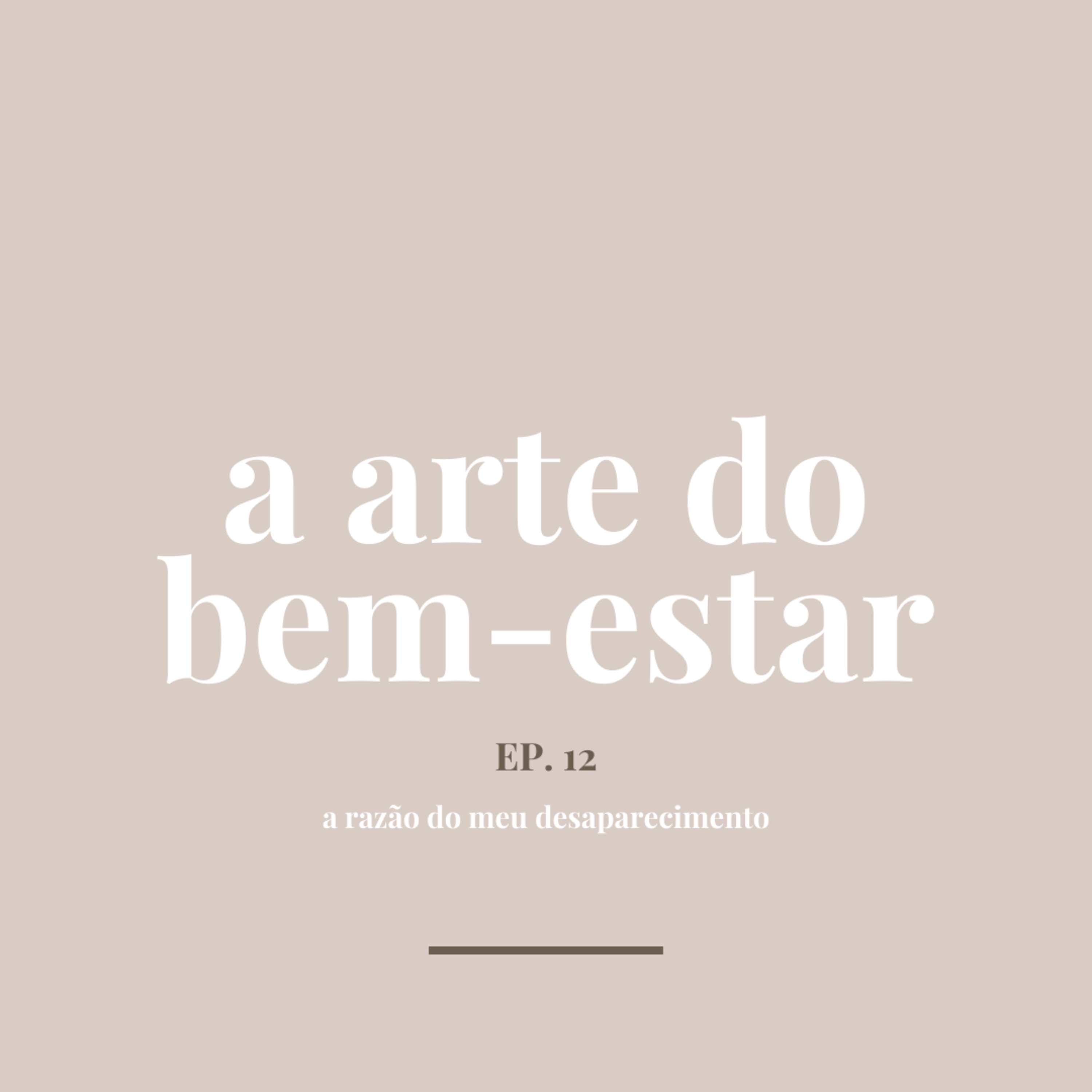 A razão do meu desaparecimento episode artwork