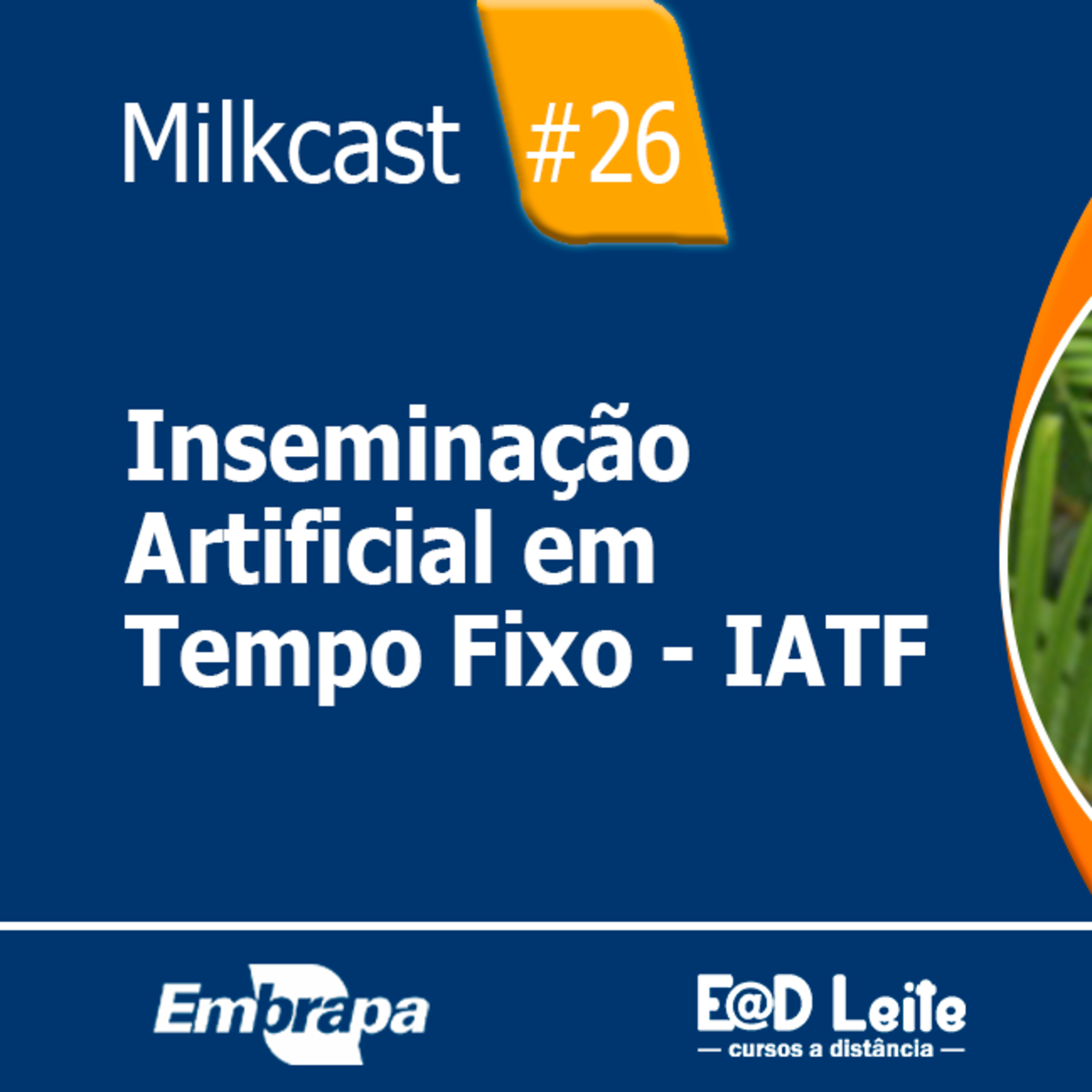 Embrapa Gado de Leite