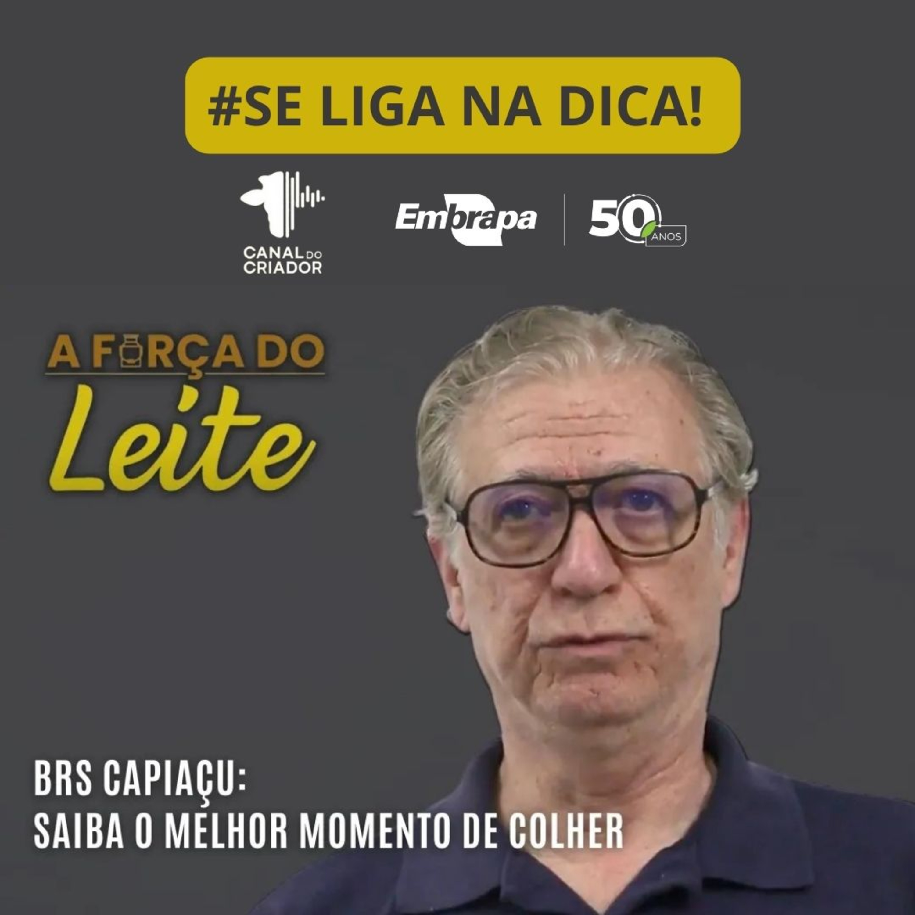 Embrapa Gado de Leite