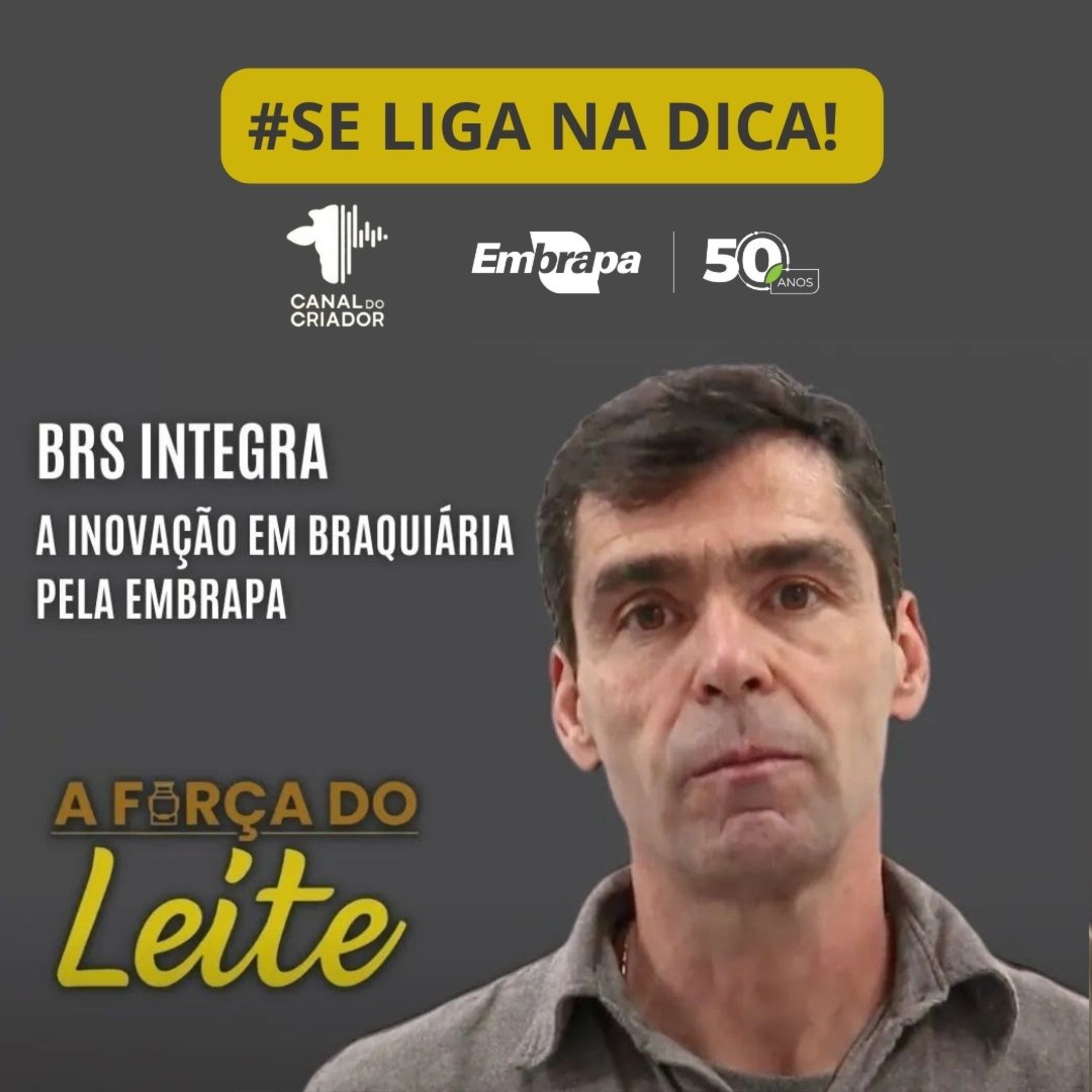 Embrapa Gado de Leite