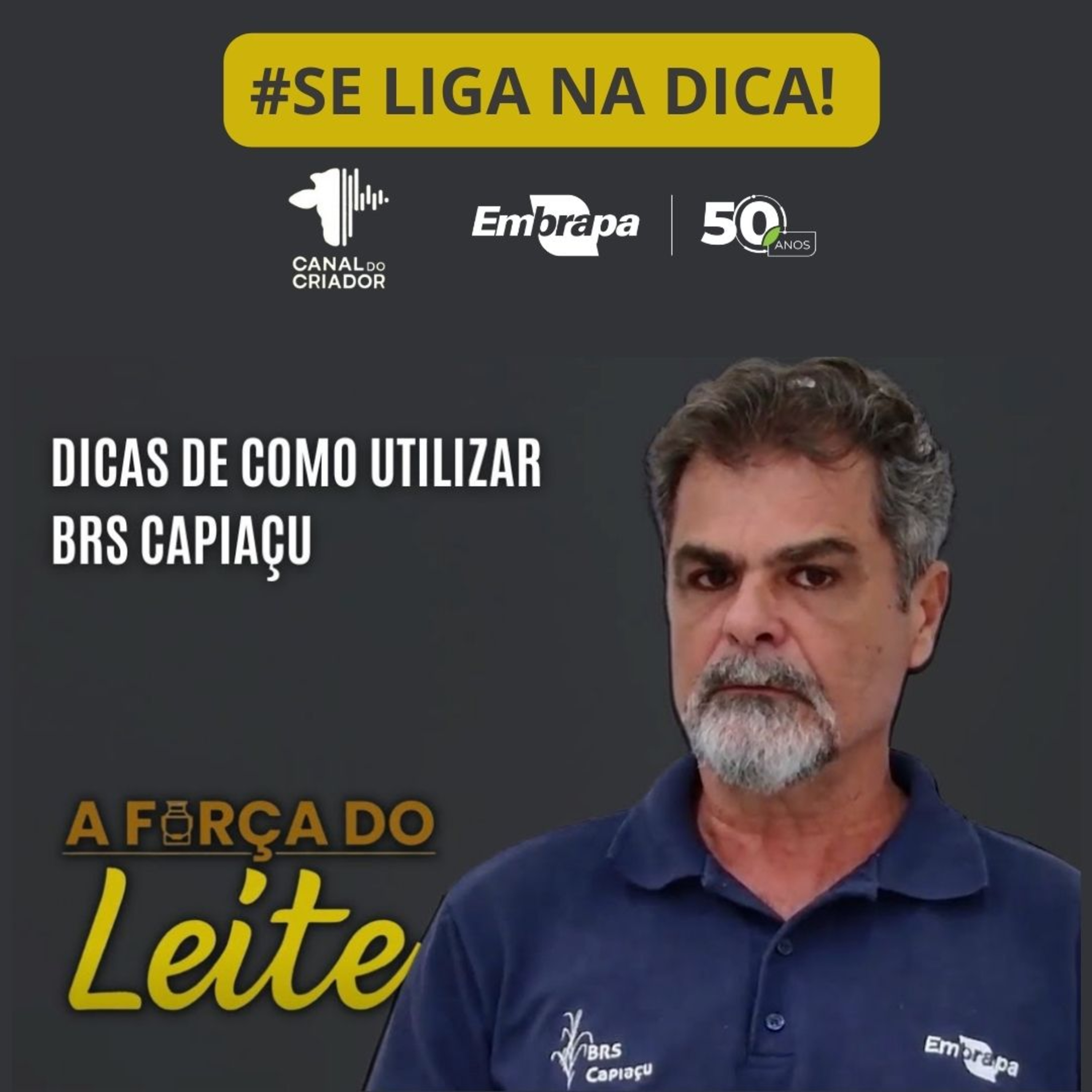 Embrapa Gado de Leite