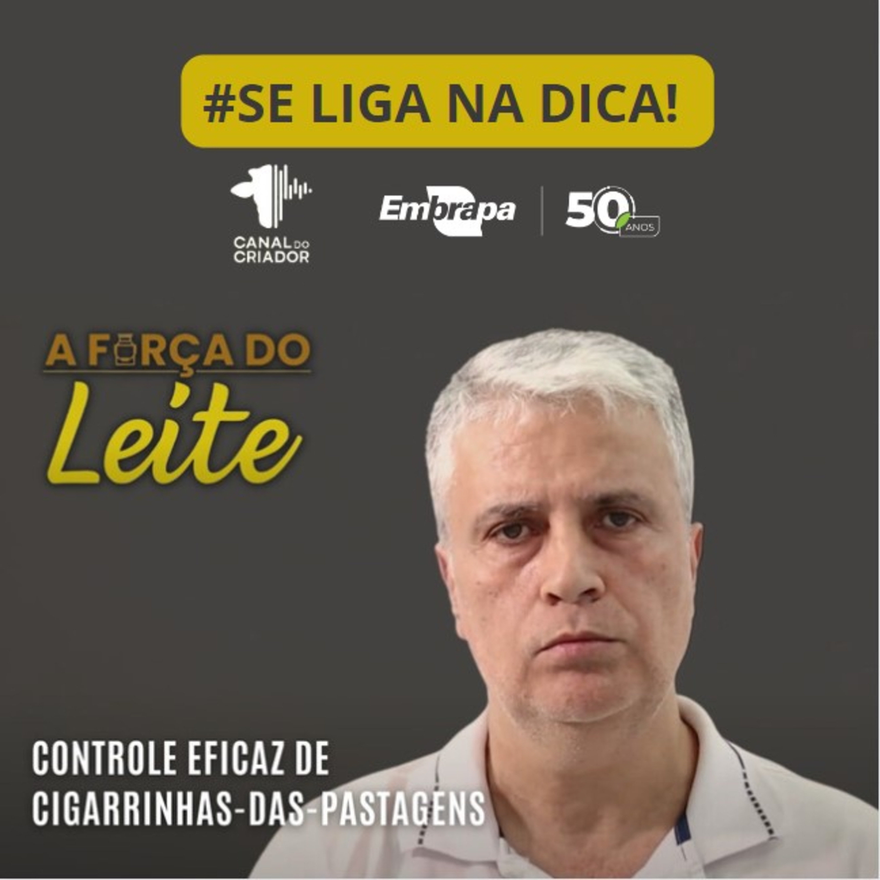 Embrapa Gado de Leite