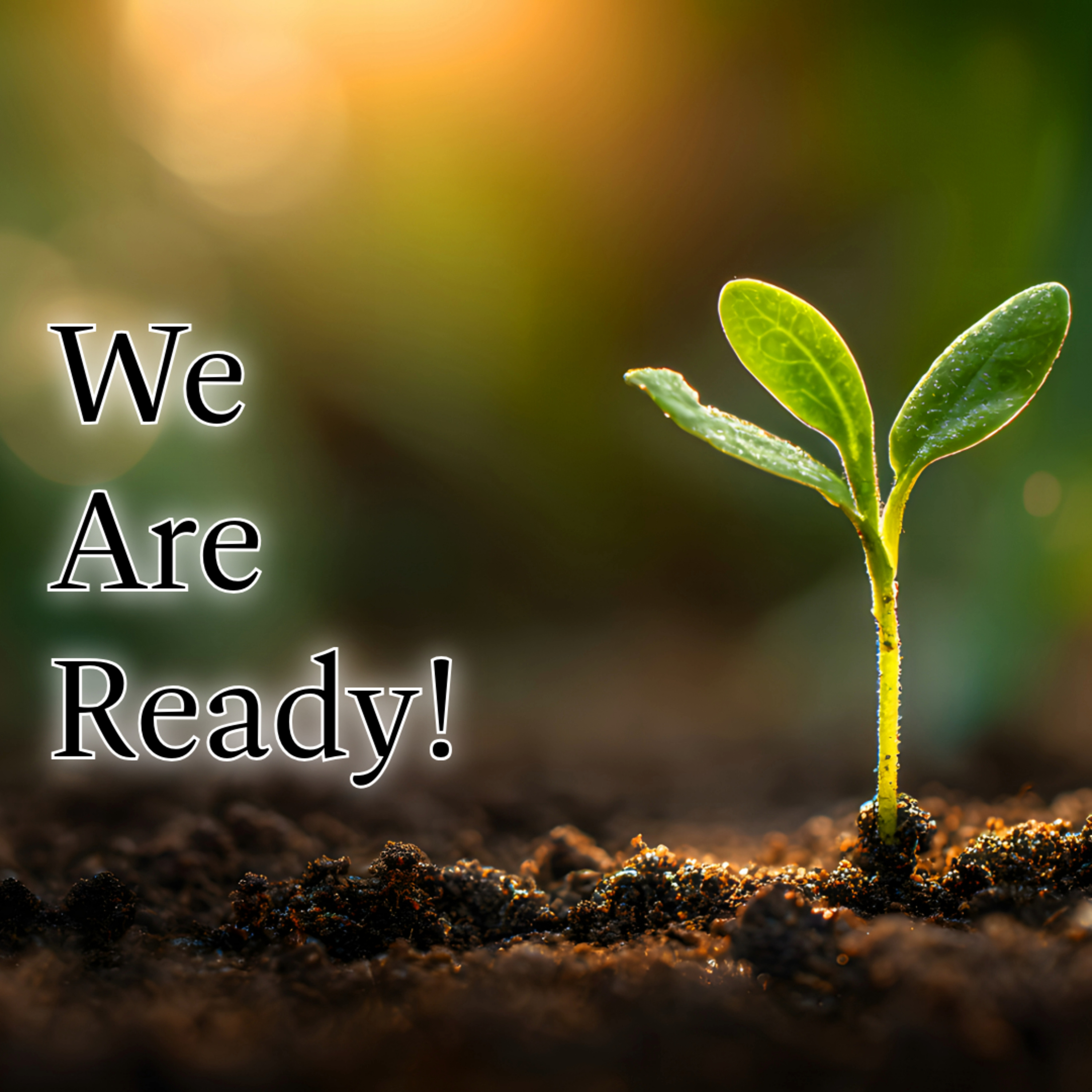 Rooted in Christ and Ready for the Assignment | We Are Ready! episode artwork