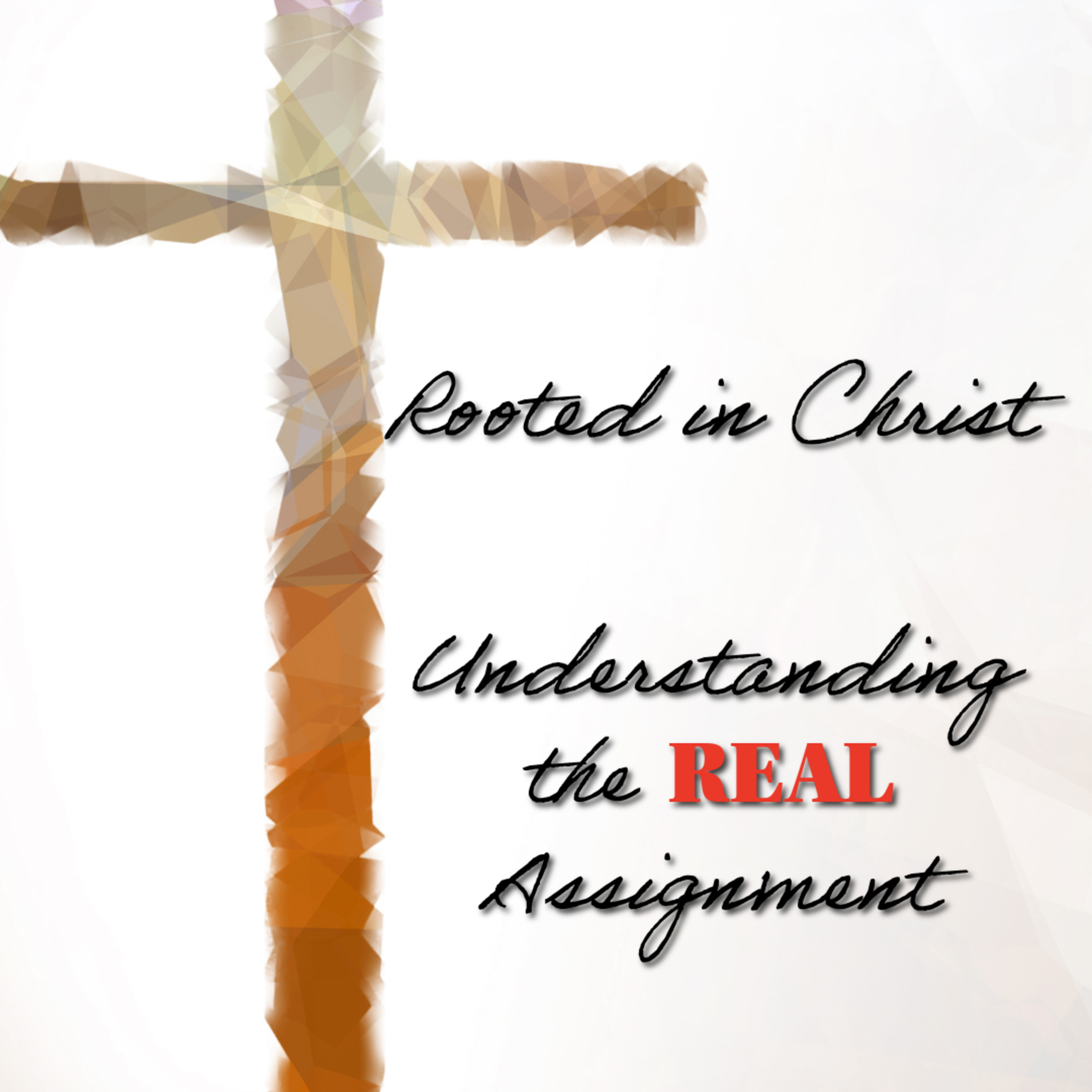 Rooted in Christ and Ready for the Assignment | Understanding the REAL Assignment | April 19th, 2026 episode artwork