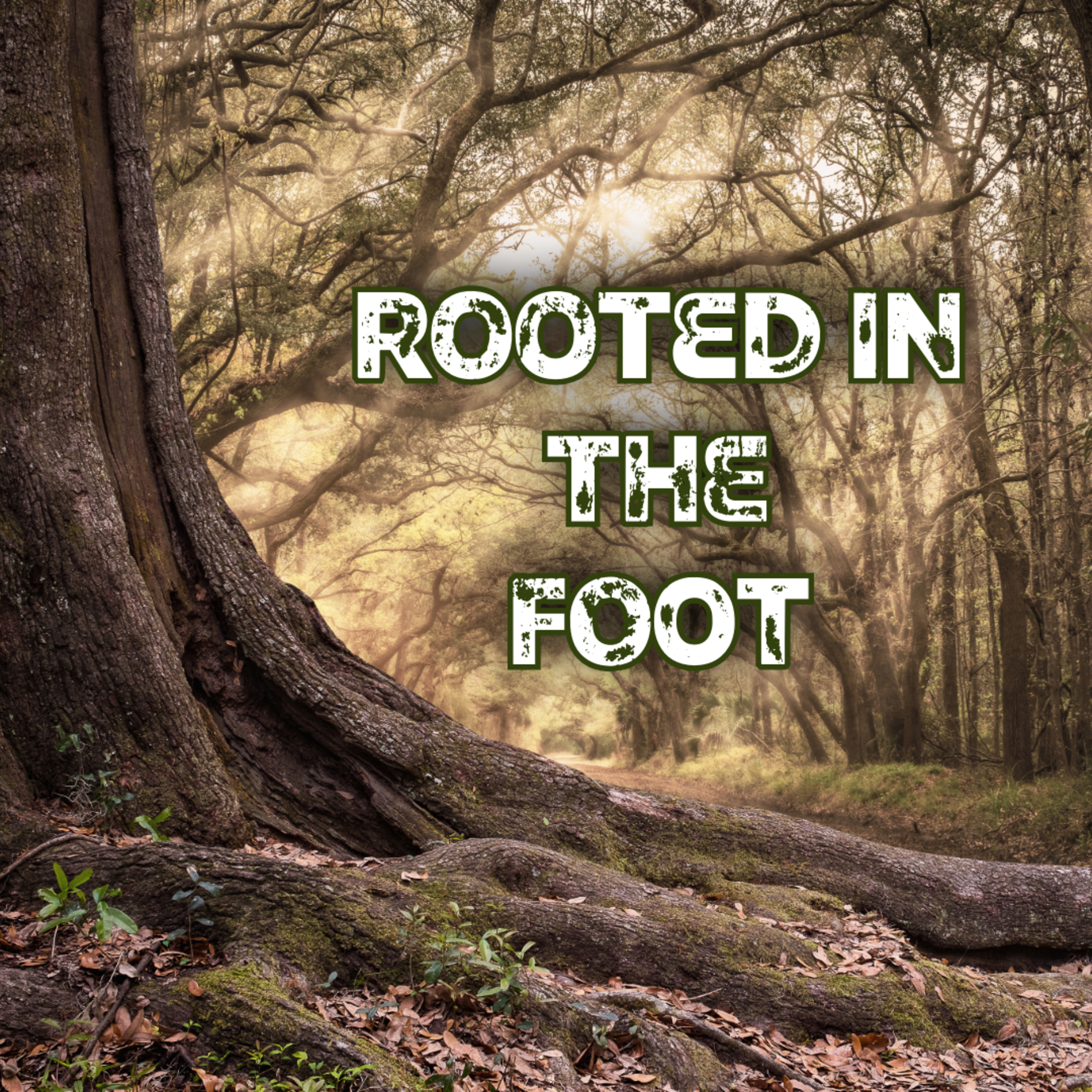 Rooted in the Foot! episode artwork