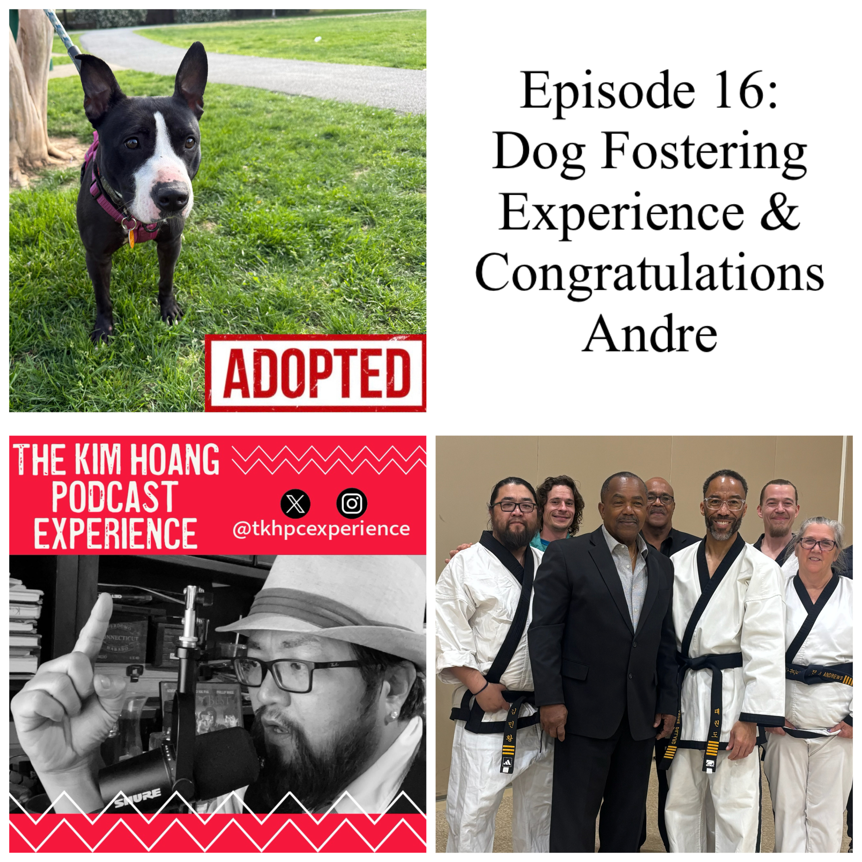 Season 5, Episode 16: Dog Fostering Experience & Congratulations Andre episode artwork