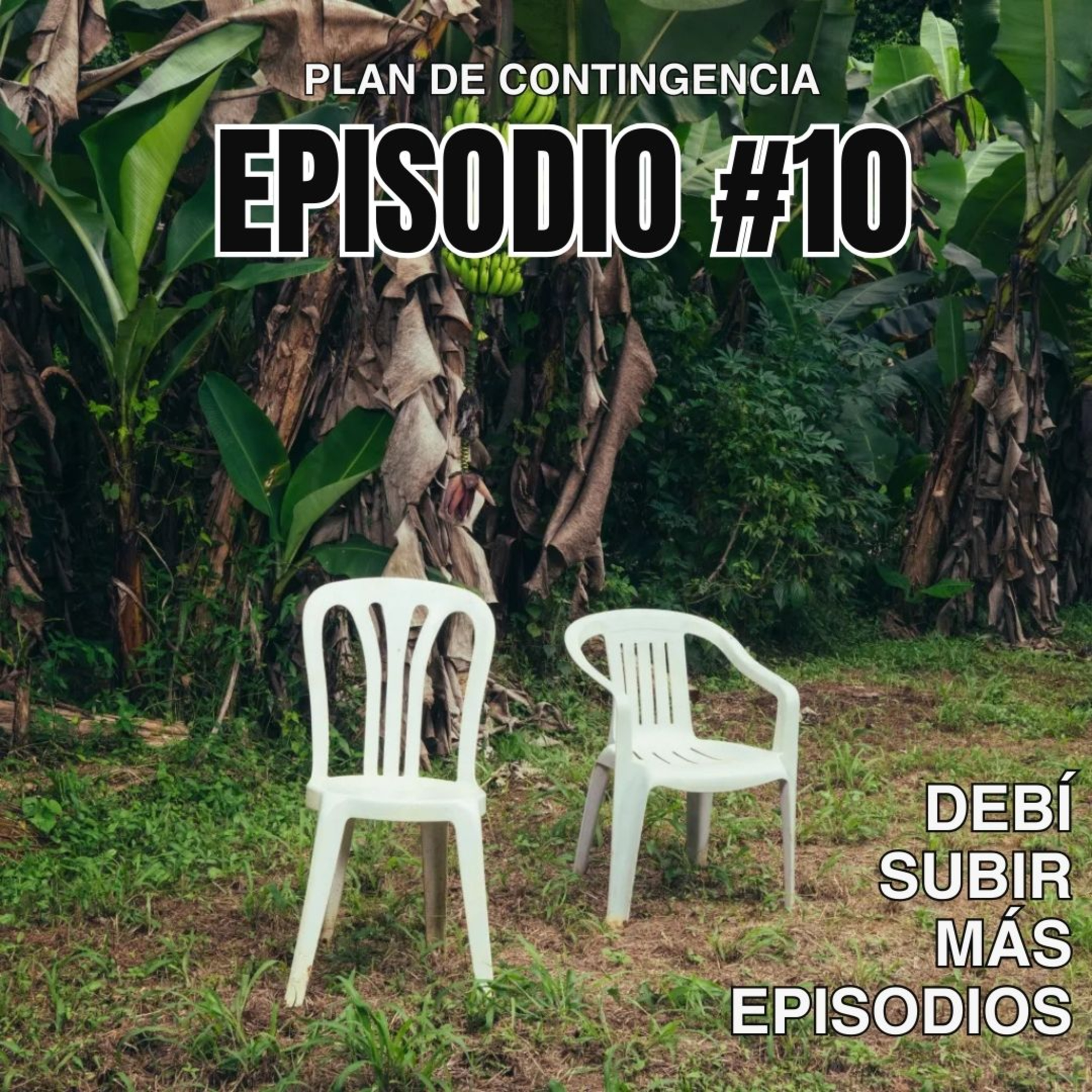 Plan de Contingencia