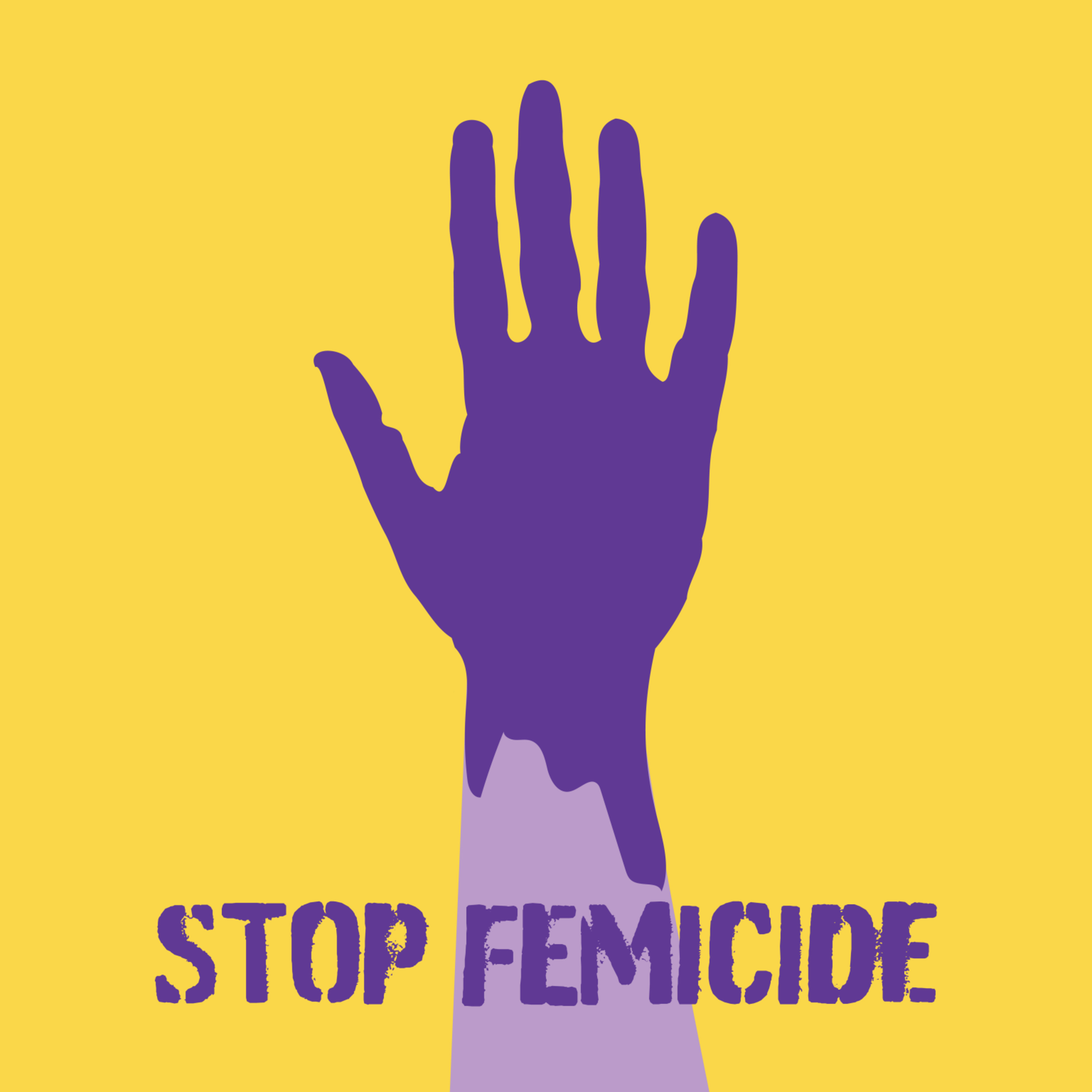 STOP KILLING WOMEN - A dummy's guide to END FEMICIDE