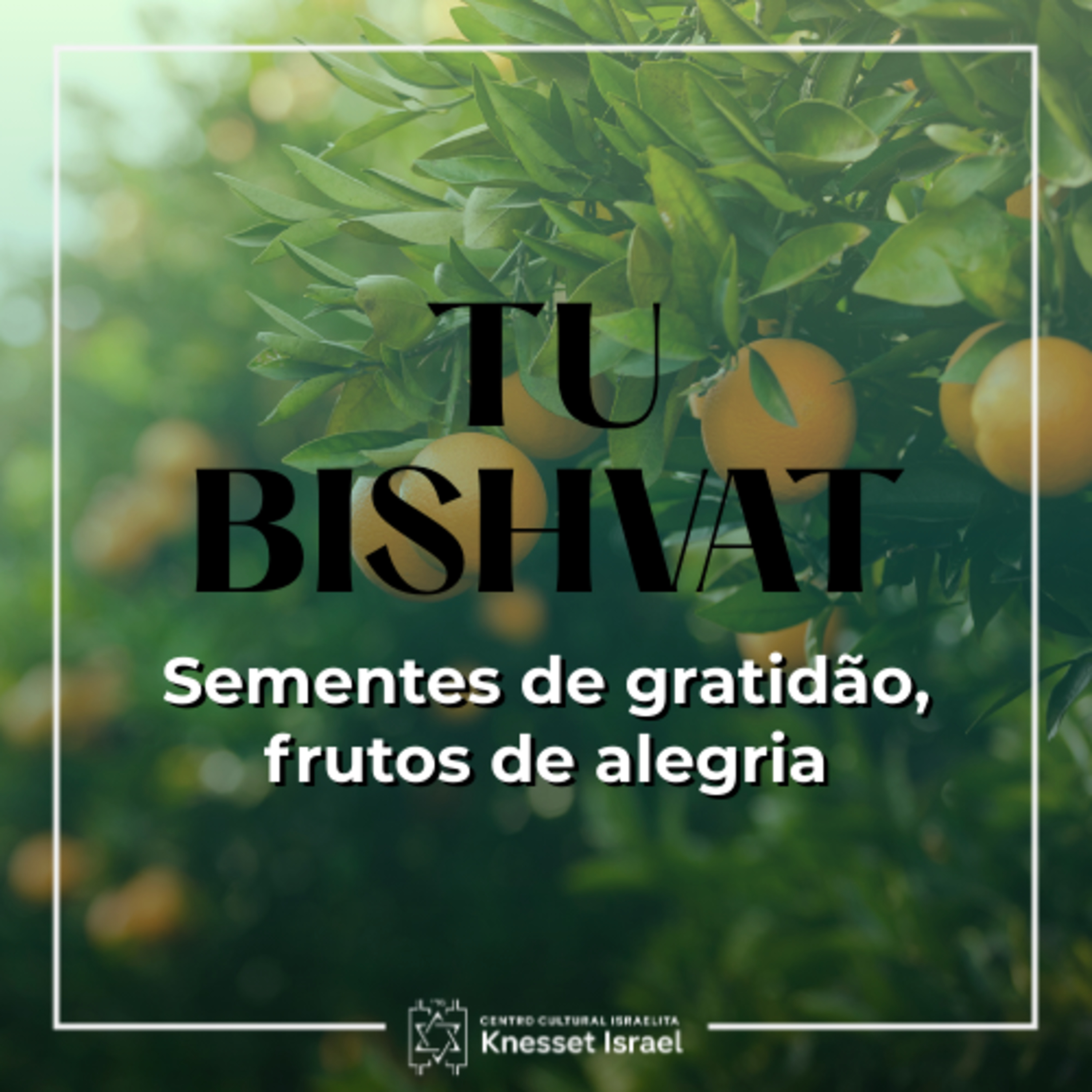 1328 Tu Bishvat - Sementes de gratidão, frutos de alegria