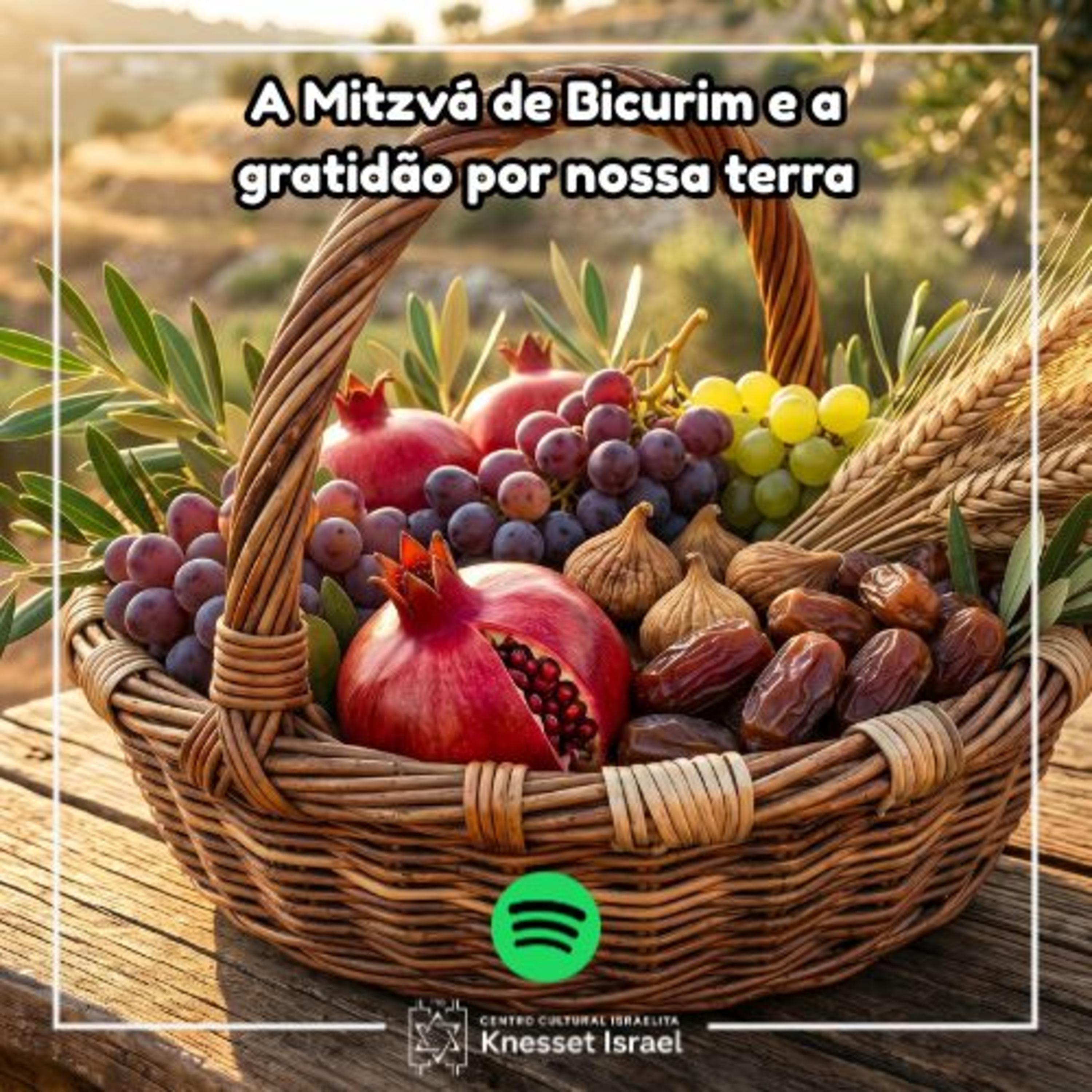 1460 Parashat Ki Tavo A Mitzvá de Bicurim e a gratidão por nossa terra