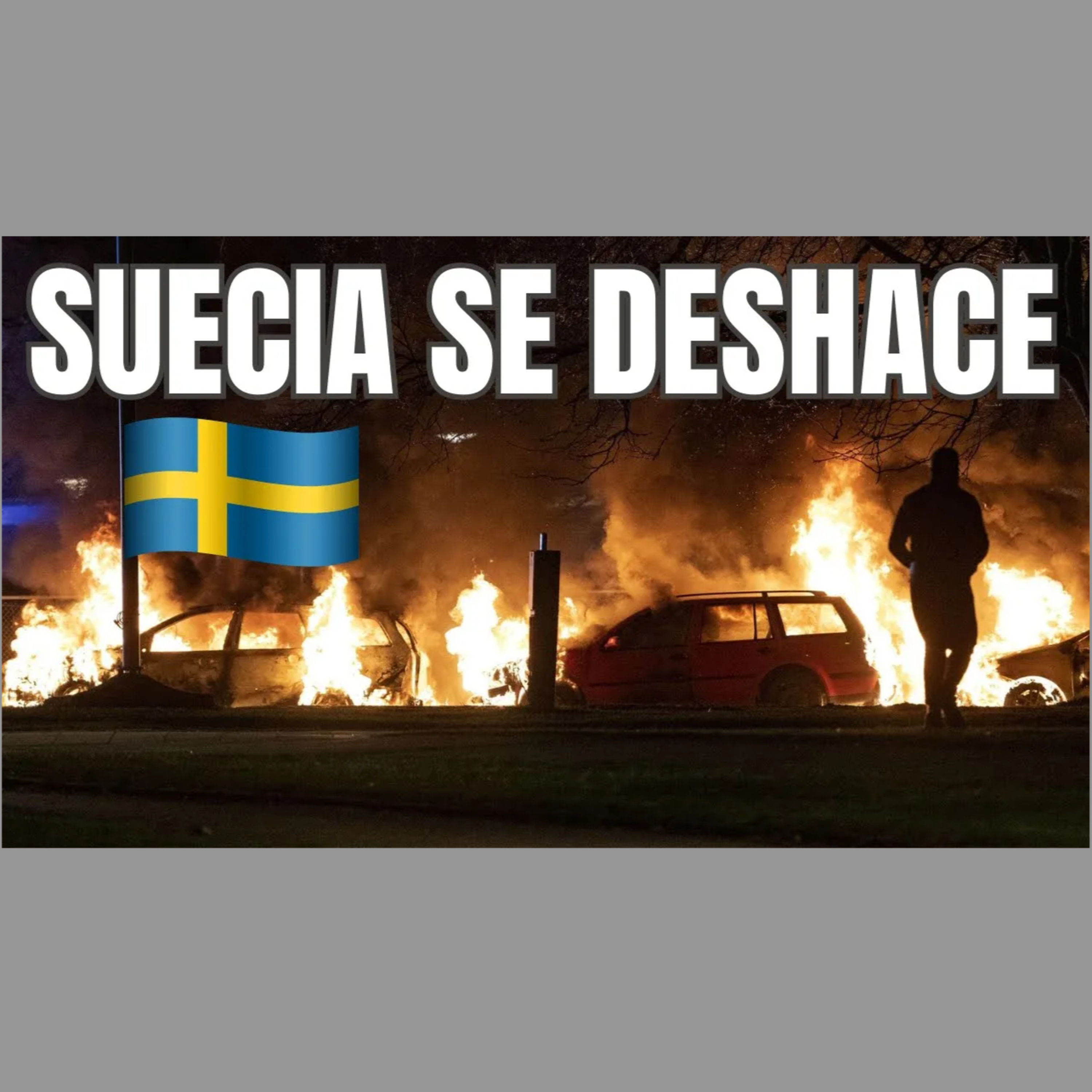 SUECIA TIERRA SIN CONTROL: LAS CAUSAS Y LECCIONES A APRENDER DE UN PAÍS QUE SE DESHACE