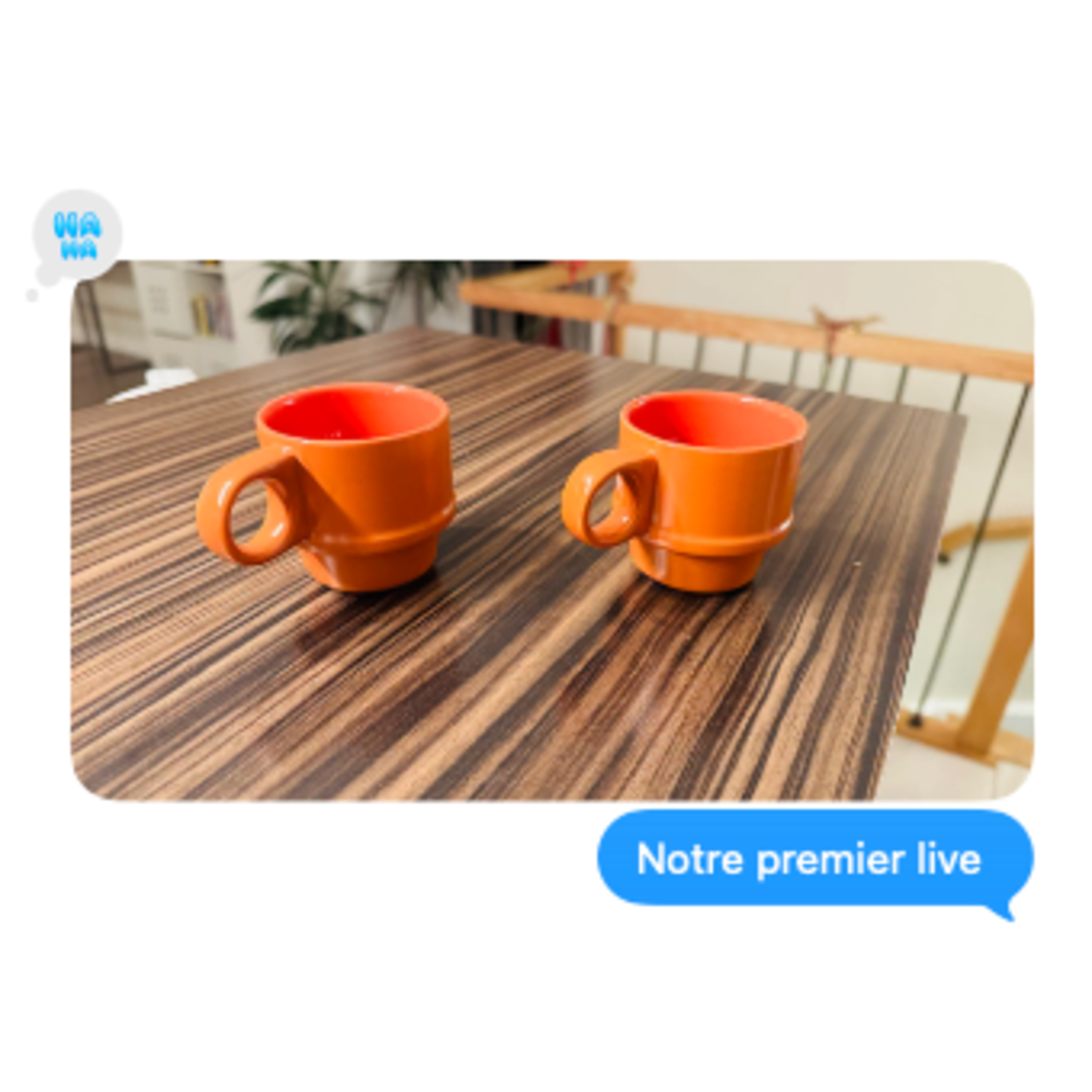 Le grand live de fin d'année : vos questions et nos réponses.