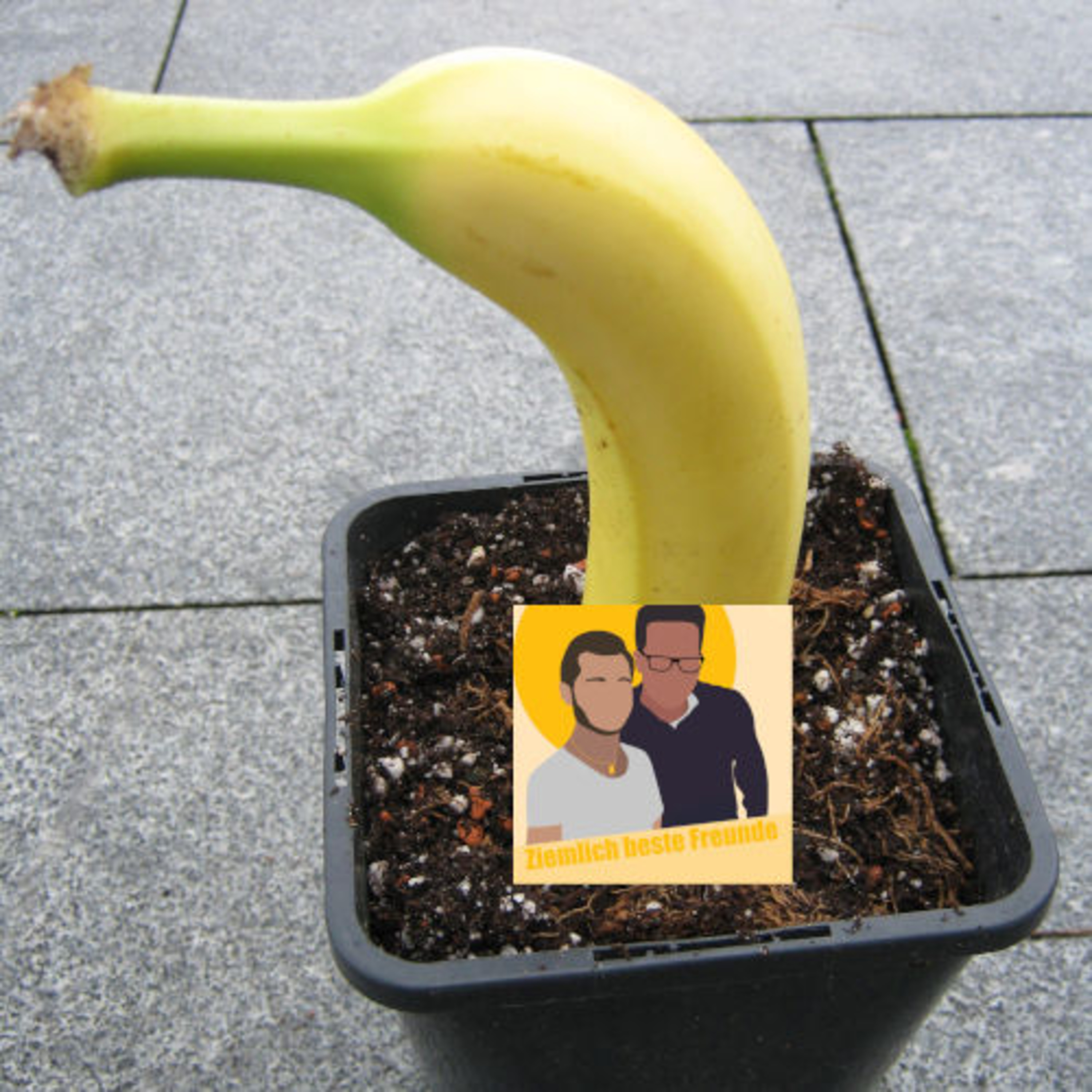 Ziemlich beste Freunde