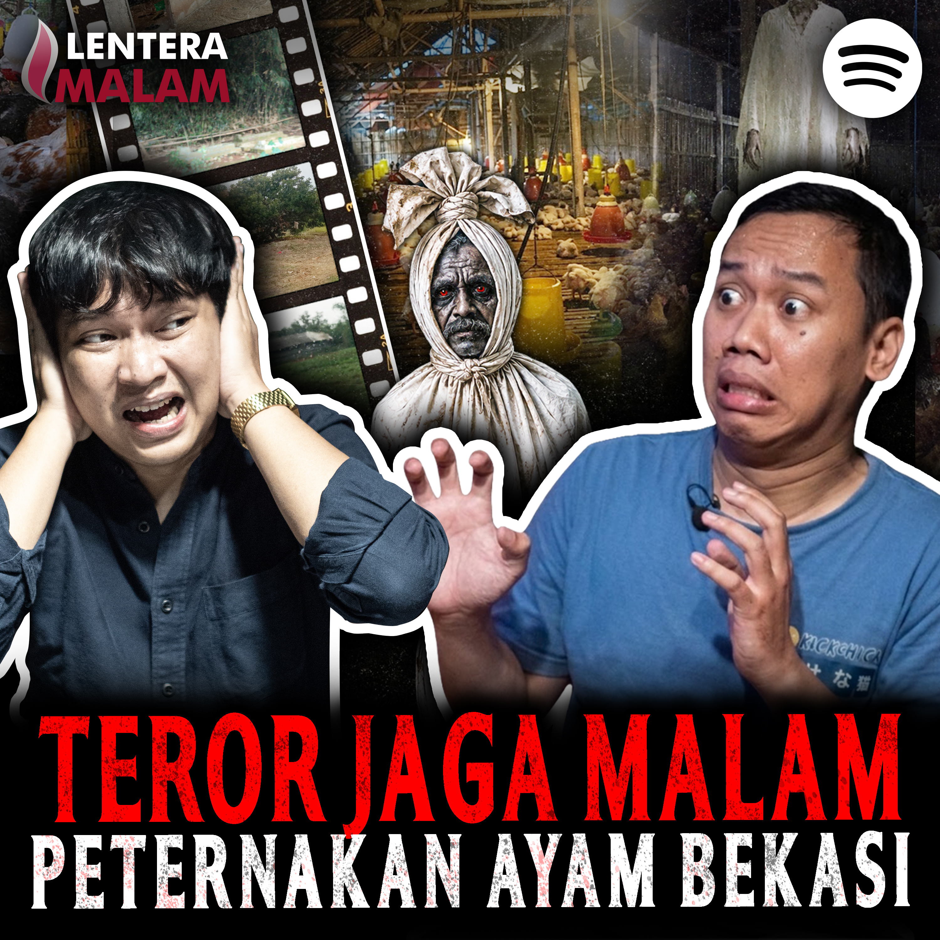872 Sumpah!! Nggak Ada Yang Betah Jaga Peternakan Ayam Satu Ini di Bekasi