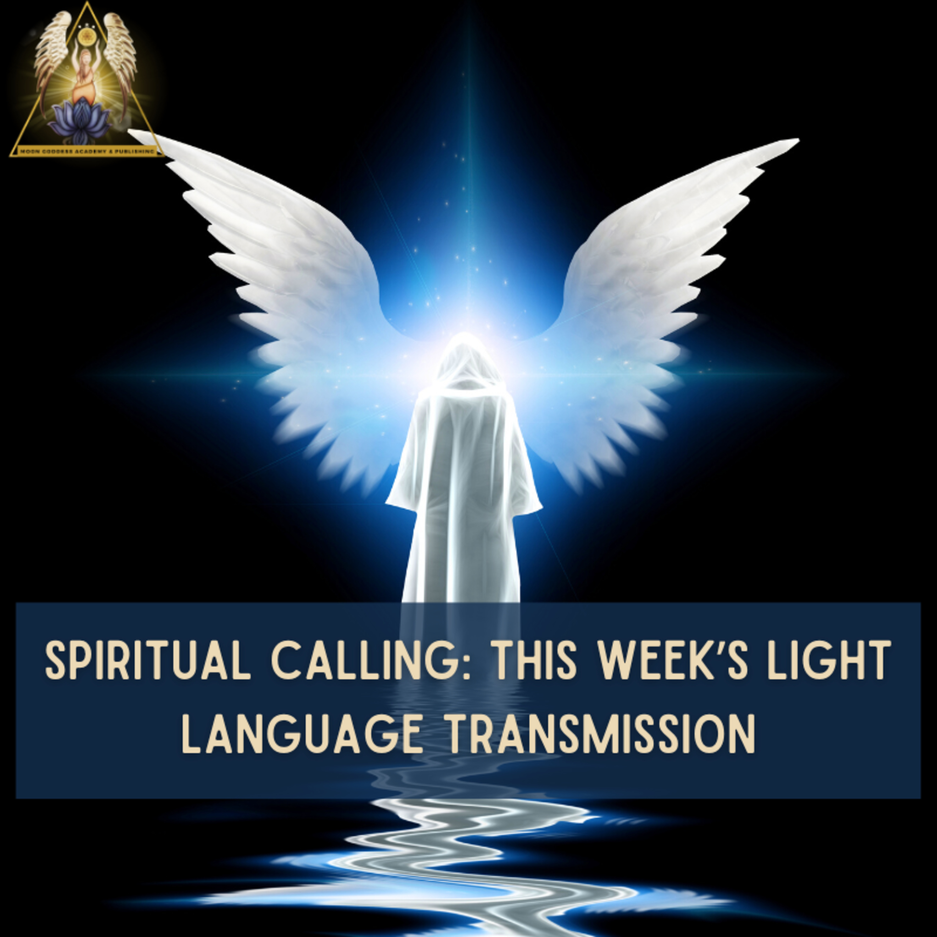 Ep118 Spiritual Calling: This week's Light Transmission 12/25 - 12/31/23