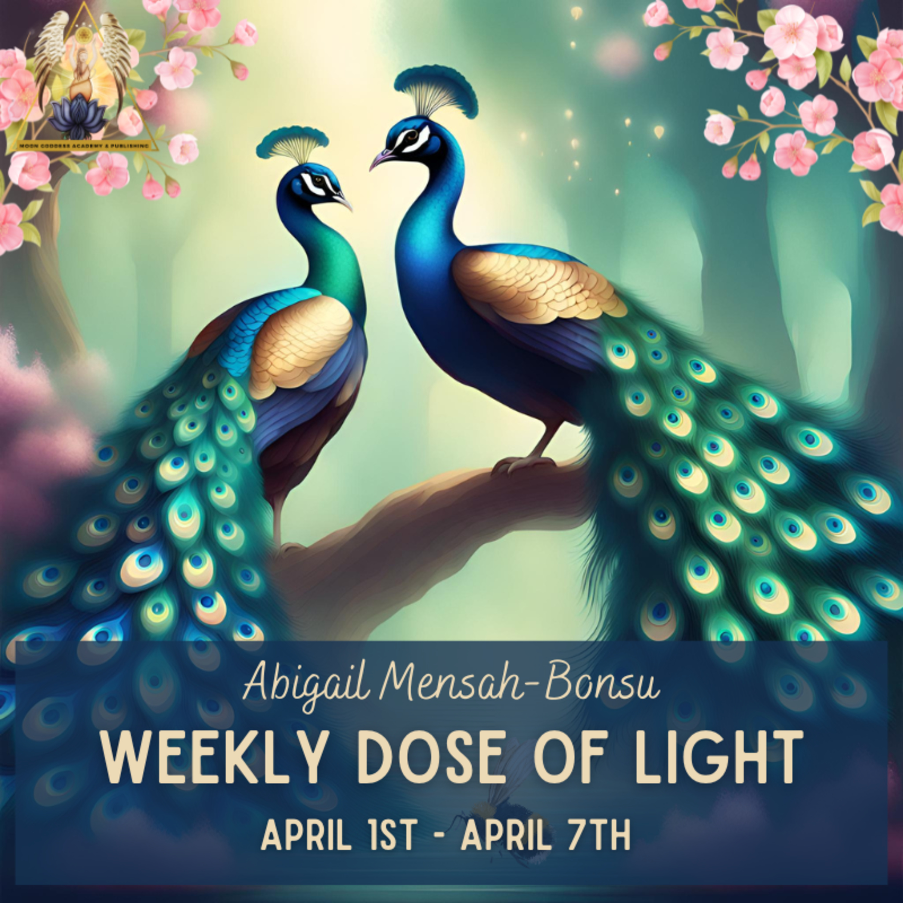 Ep 131 Your Weekly Dose of Light April 1st - April 7th