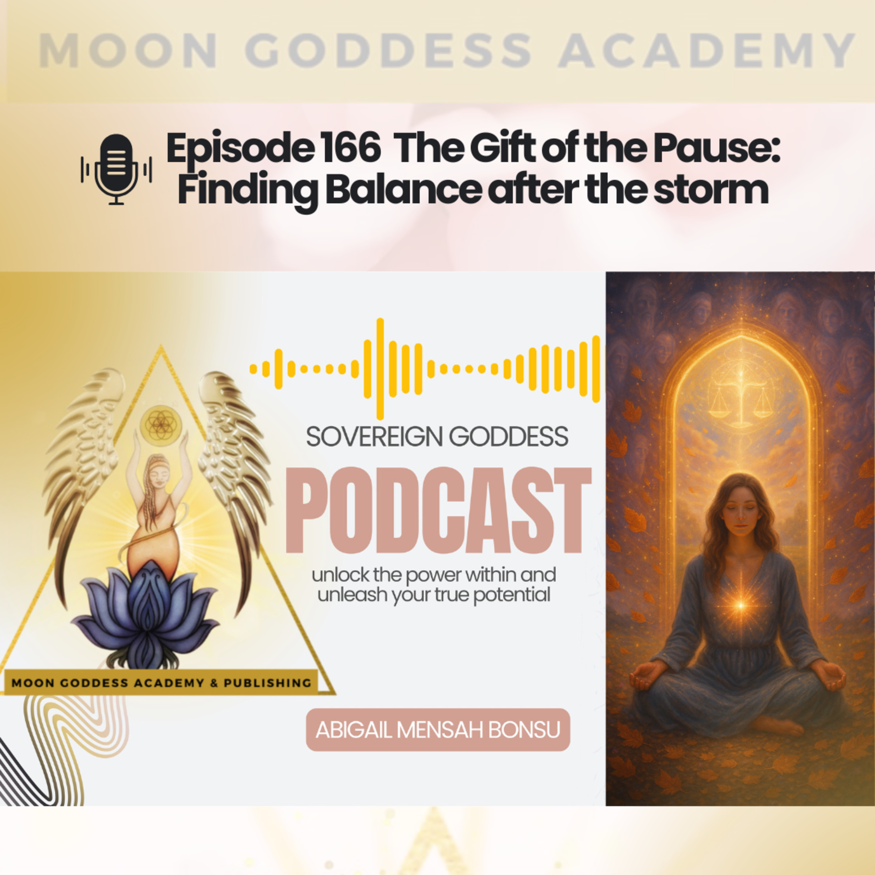 Ep 166 The Gift of the Pause: Finding Balance after the storm
