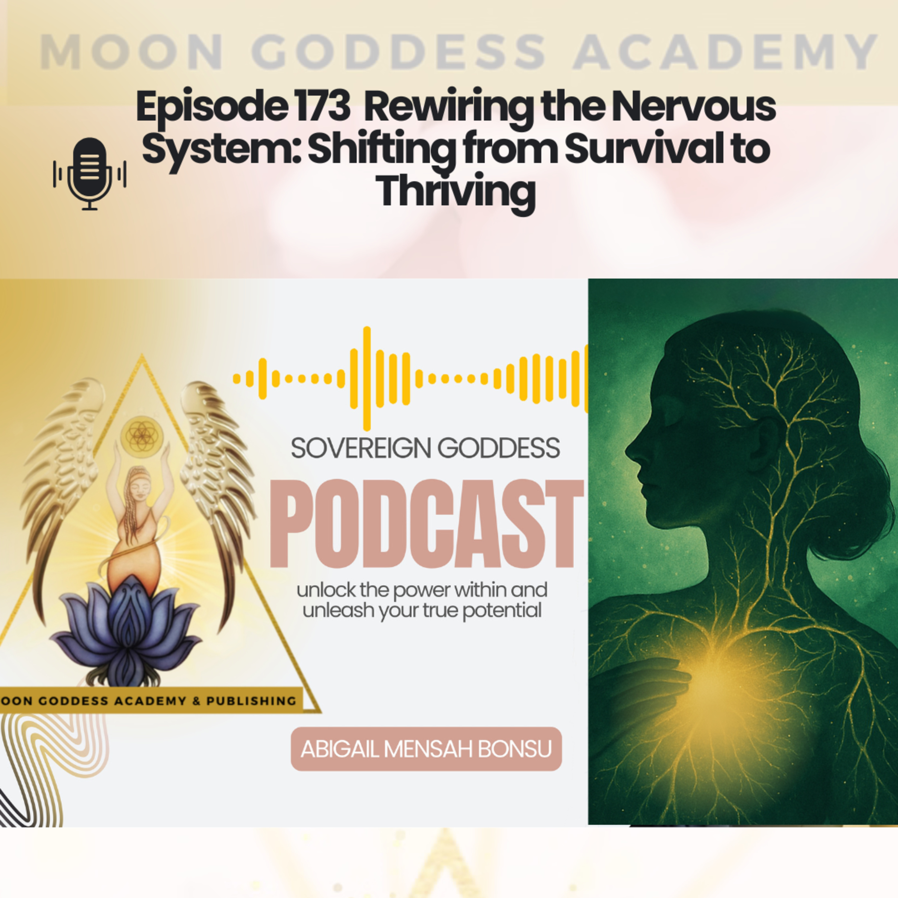 Ep 173 Rewiring the Nervous System: Shifting from Survival to Thriving episode artwork