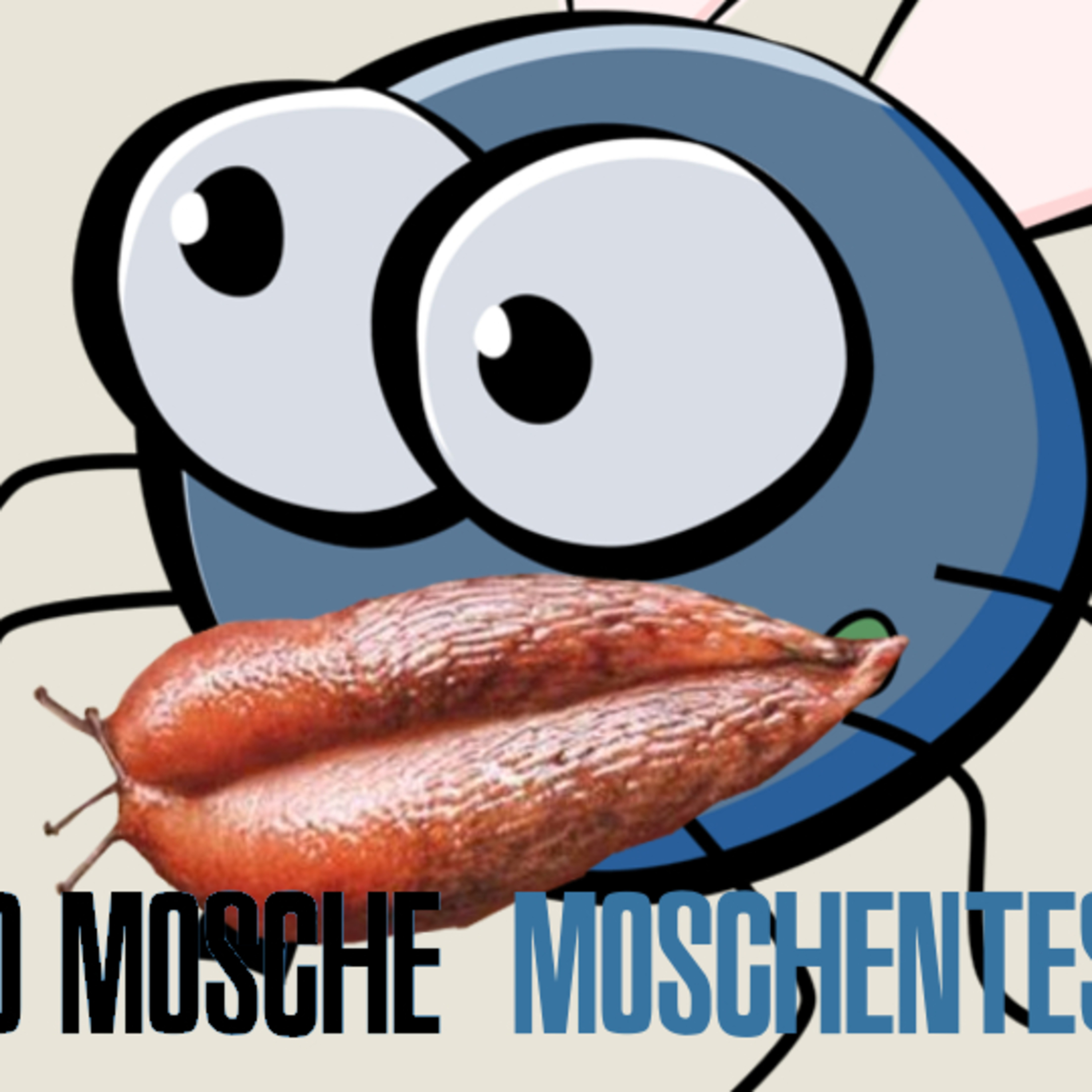 Radio Mosche Podcast