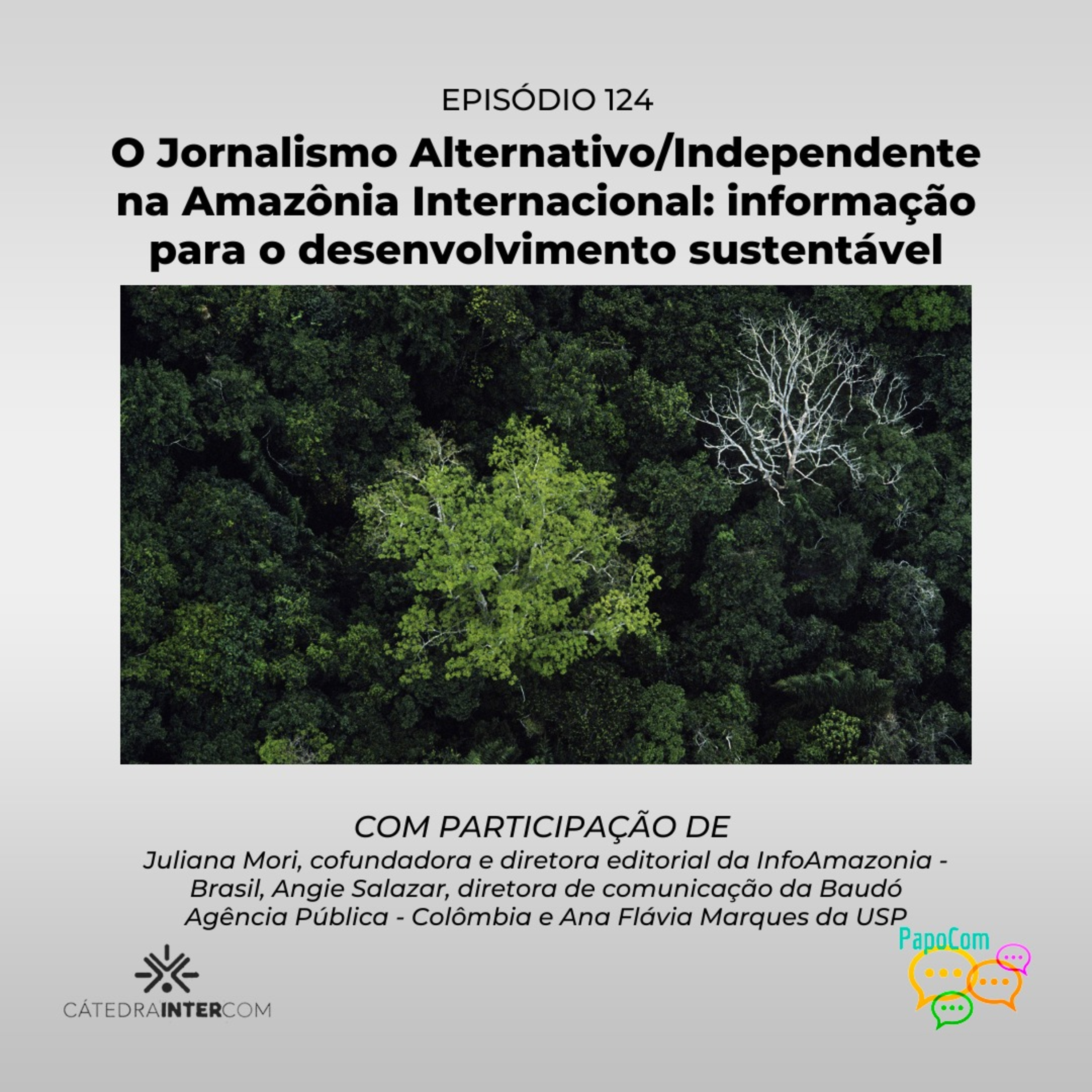 PapoCom 124 - O Jornalismo Alternativo/Independente na Amazônia Internacional(Cátedra Intercom) episode artwork