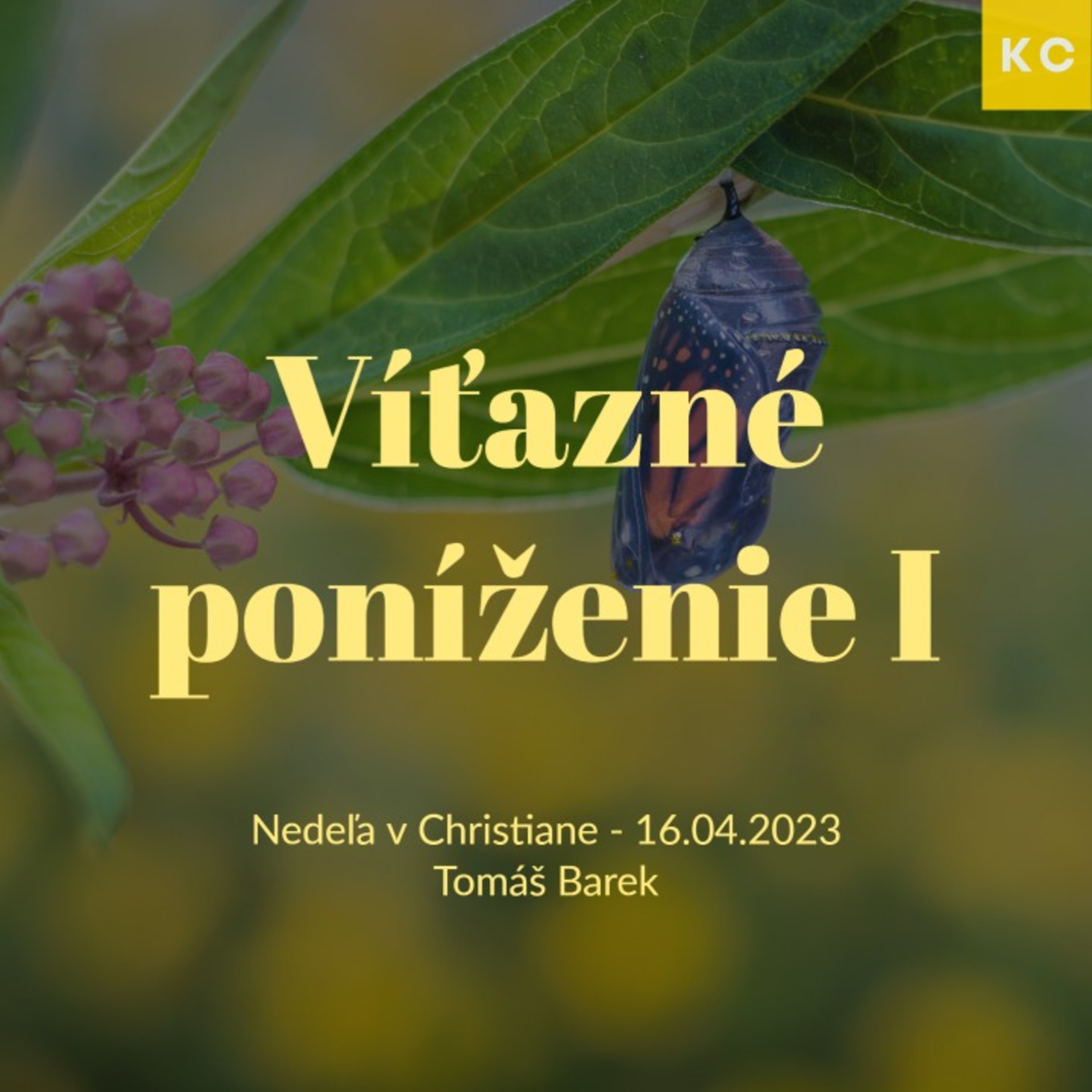 Víťazné poníženie I - Tomáš Barek episode artwork
