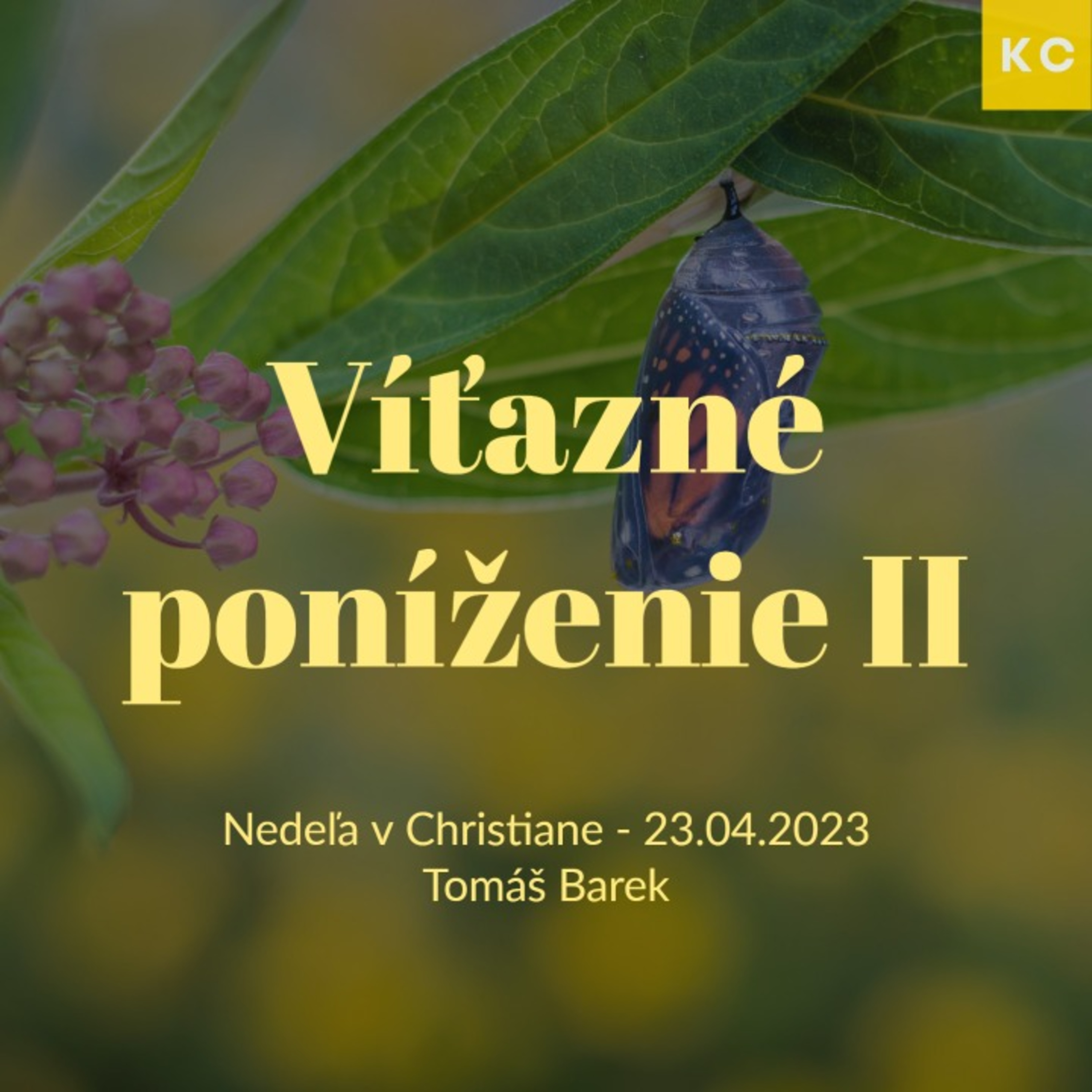 Víťazné poníženie II - Tomáš Barek episode artwork