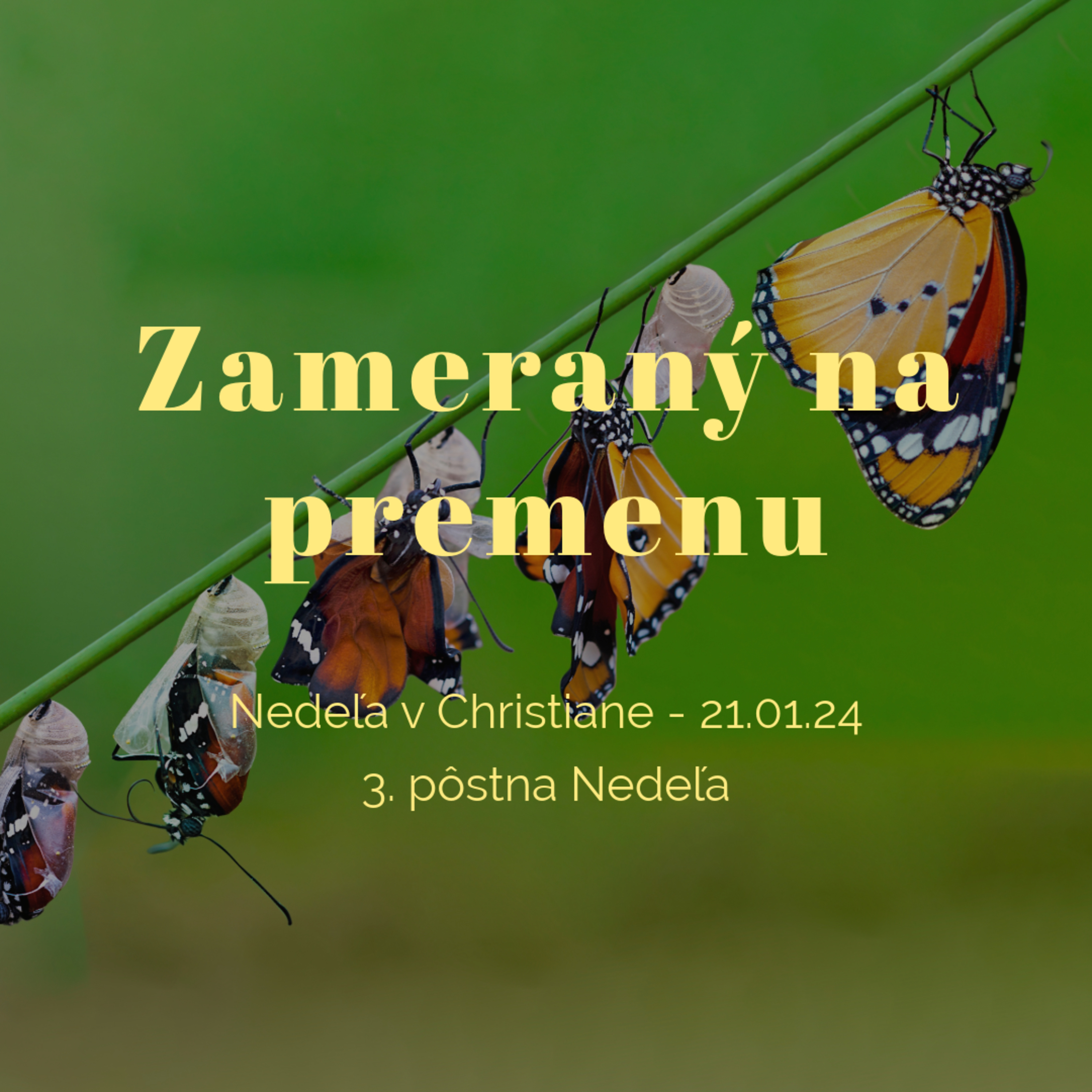 Zameraný na premenu - Daniel Němec episode artwork
