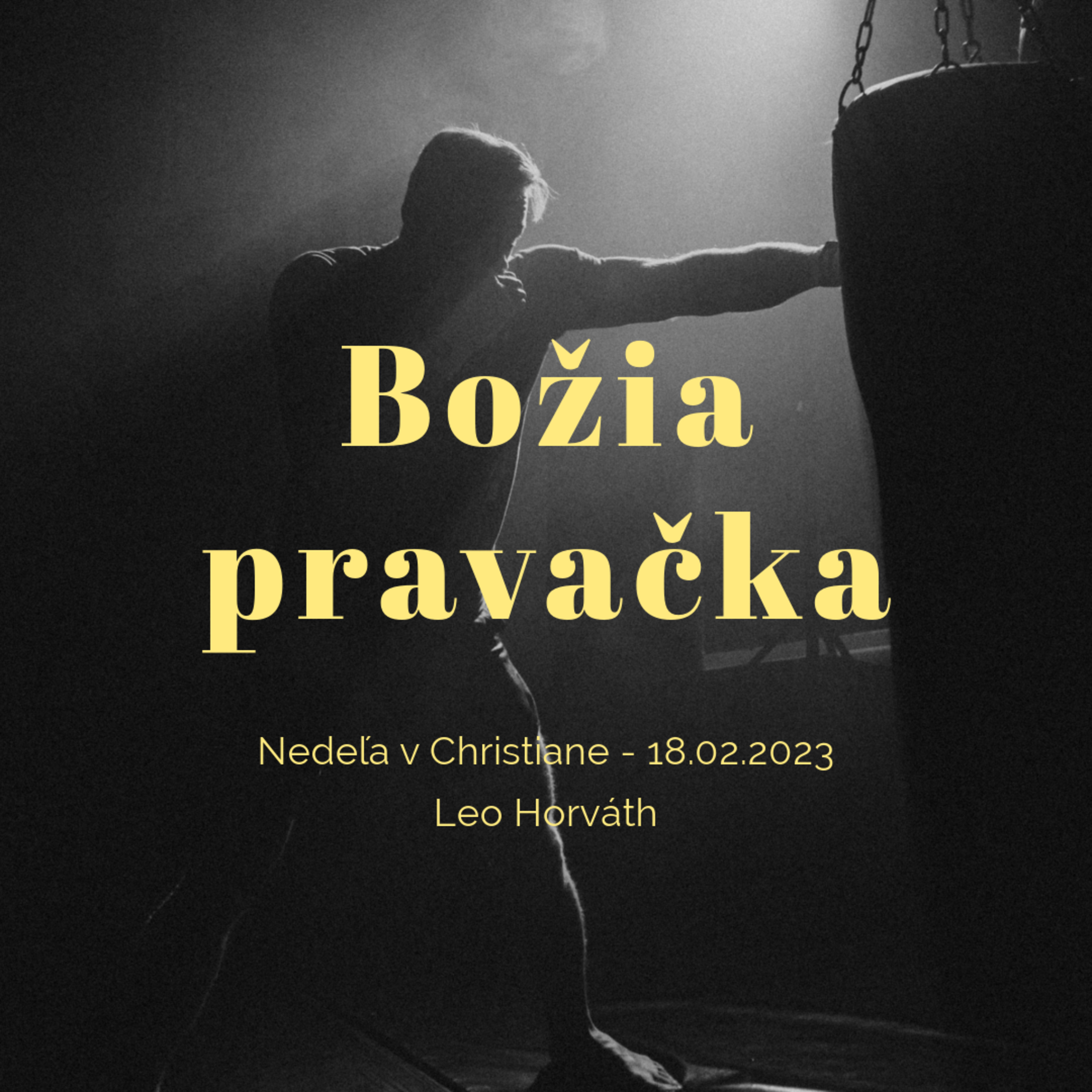 Božia pravačka - Leo Horváth 2/2 episode artwork