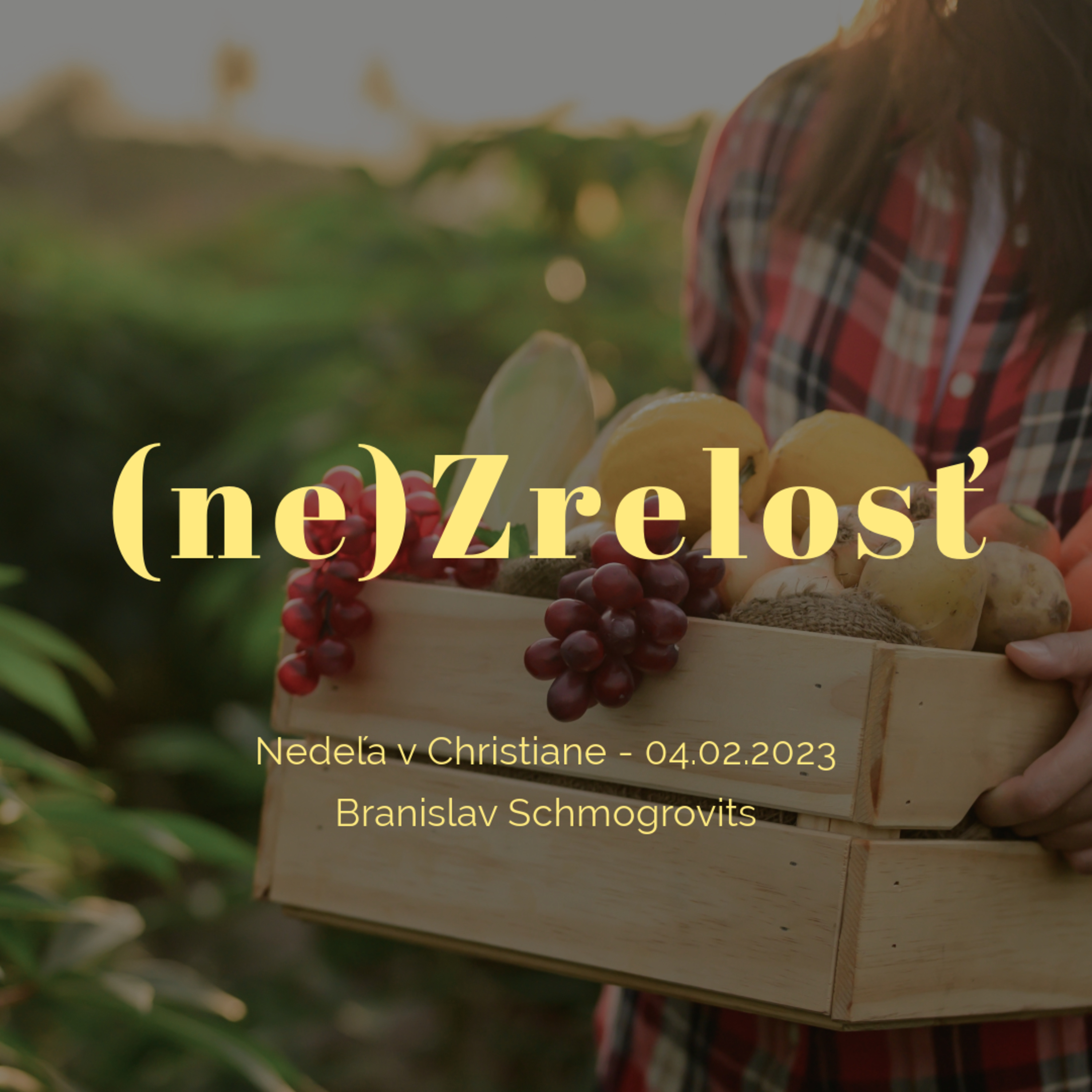 (ne)Zrelosť - Branislav Schmogrovits episode artwork