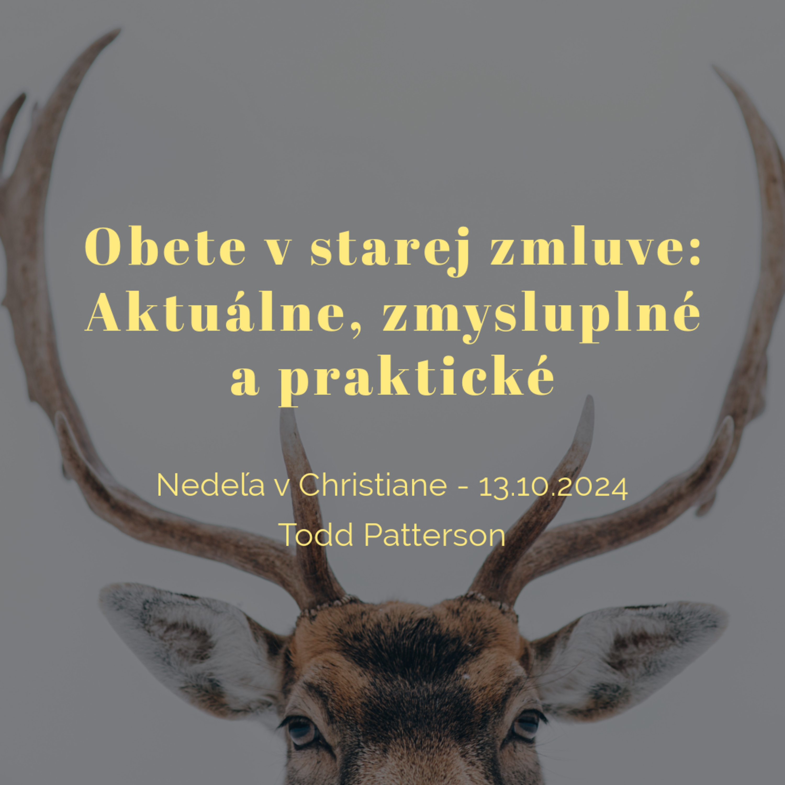 Obete. Aktuálne, zmysluplné a praktické - Todd Patterson episode artwork