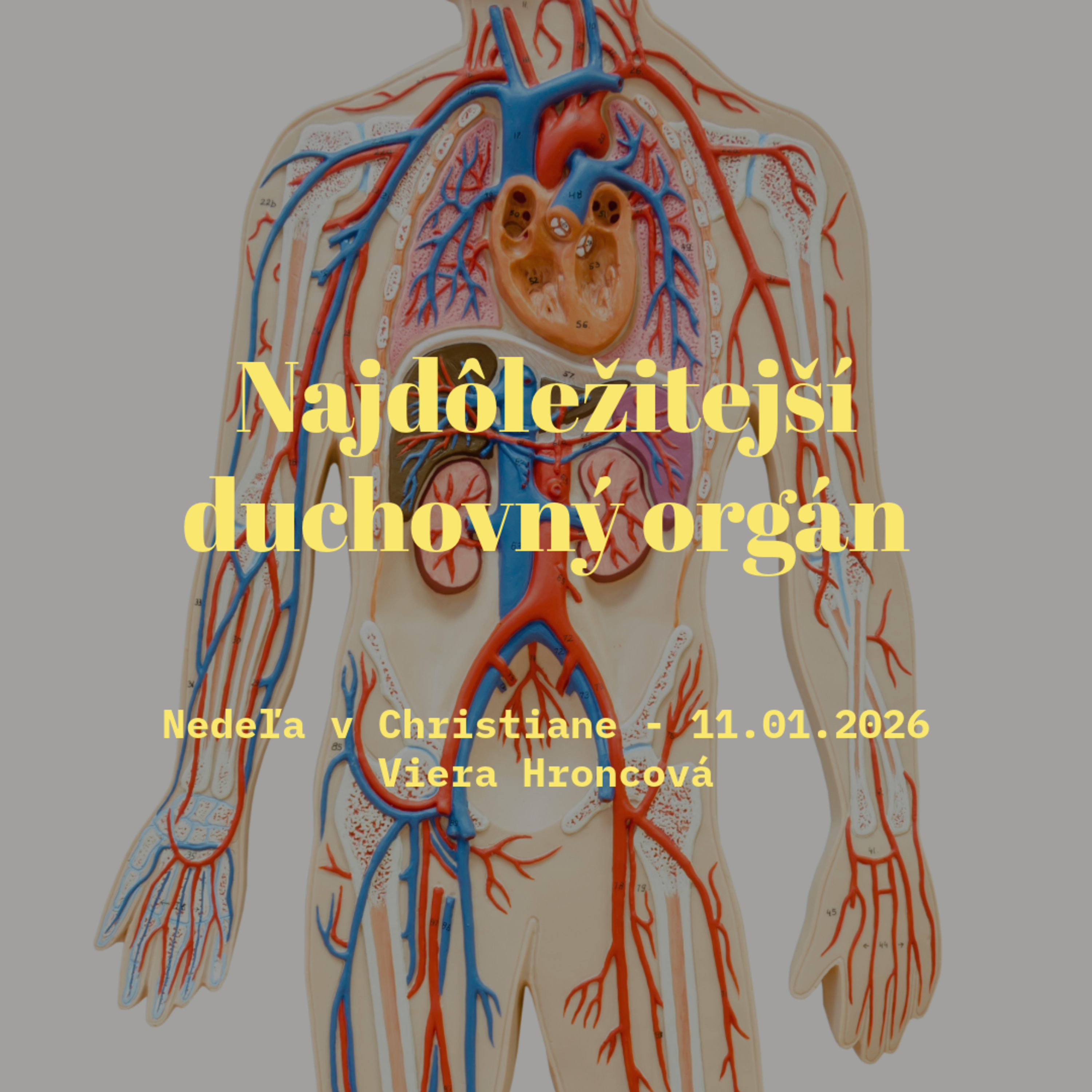Najdôležitejší duchovný orgán - Viera Hroncová episode artwork