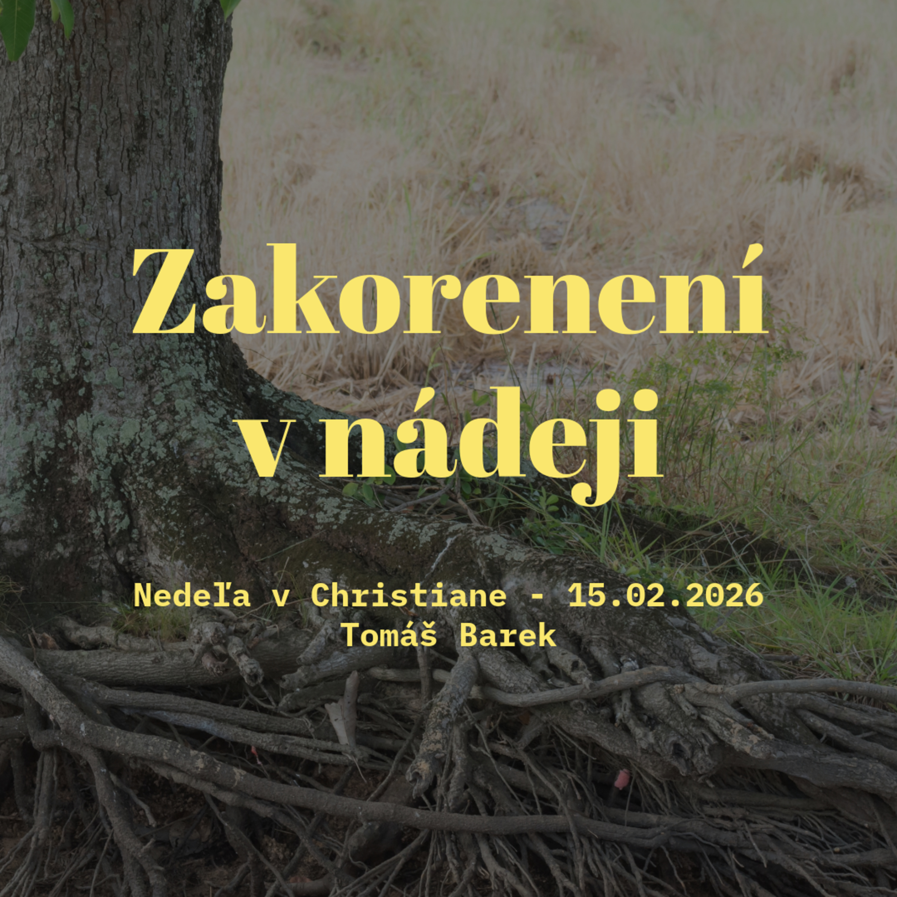 Zakorenení v nádeji - Tomáš Barek episode artwork