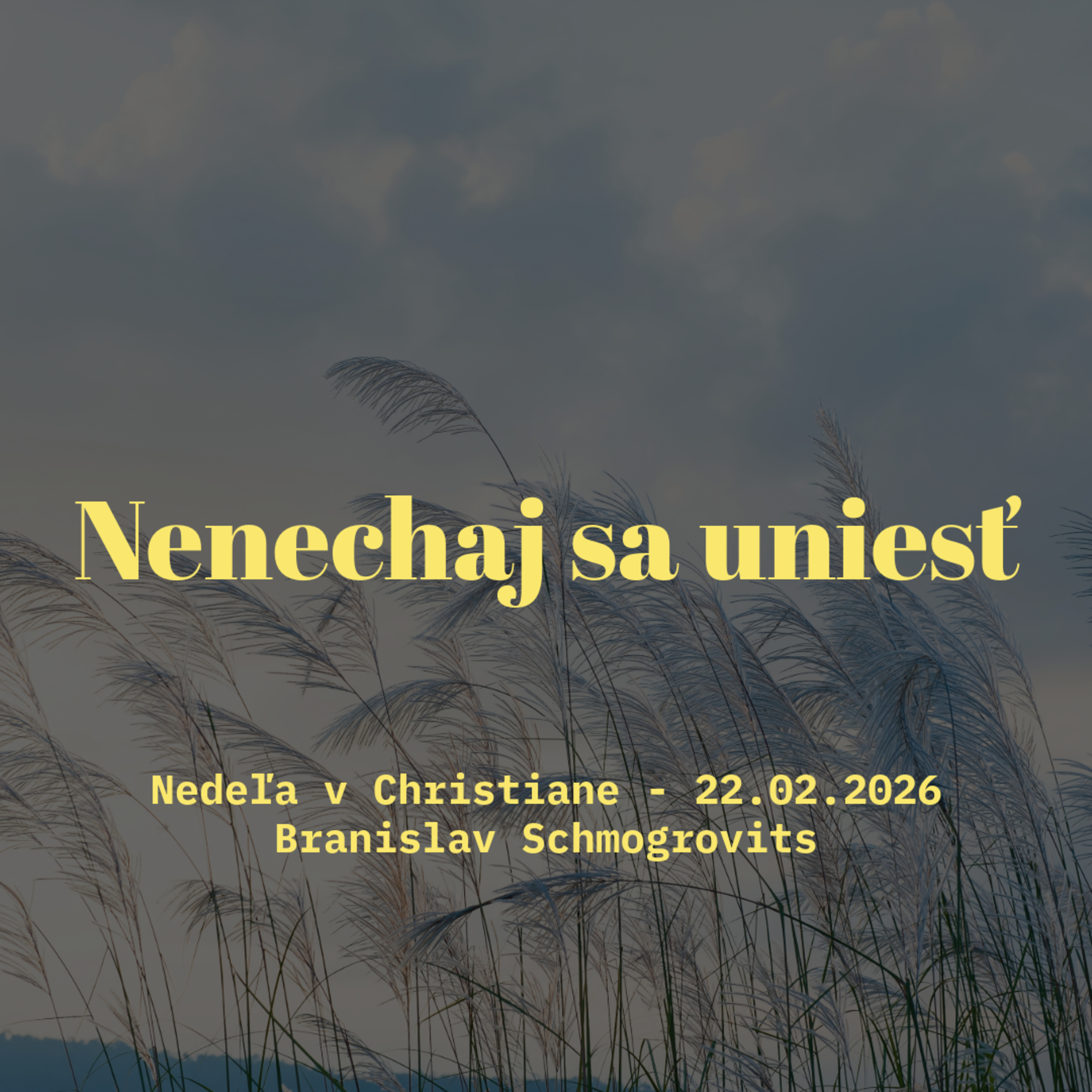 Nenechaj sa uniesť - Branislav Schmogrovits episode artwork