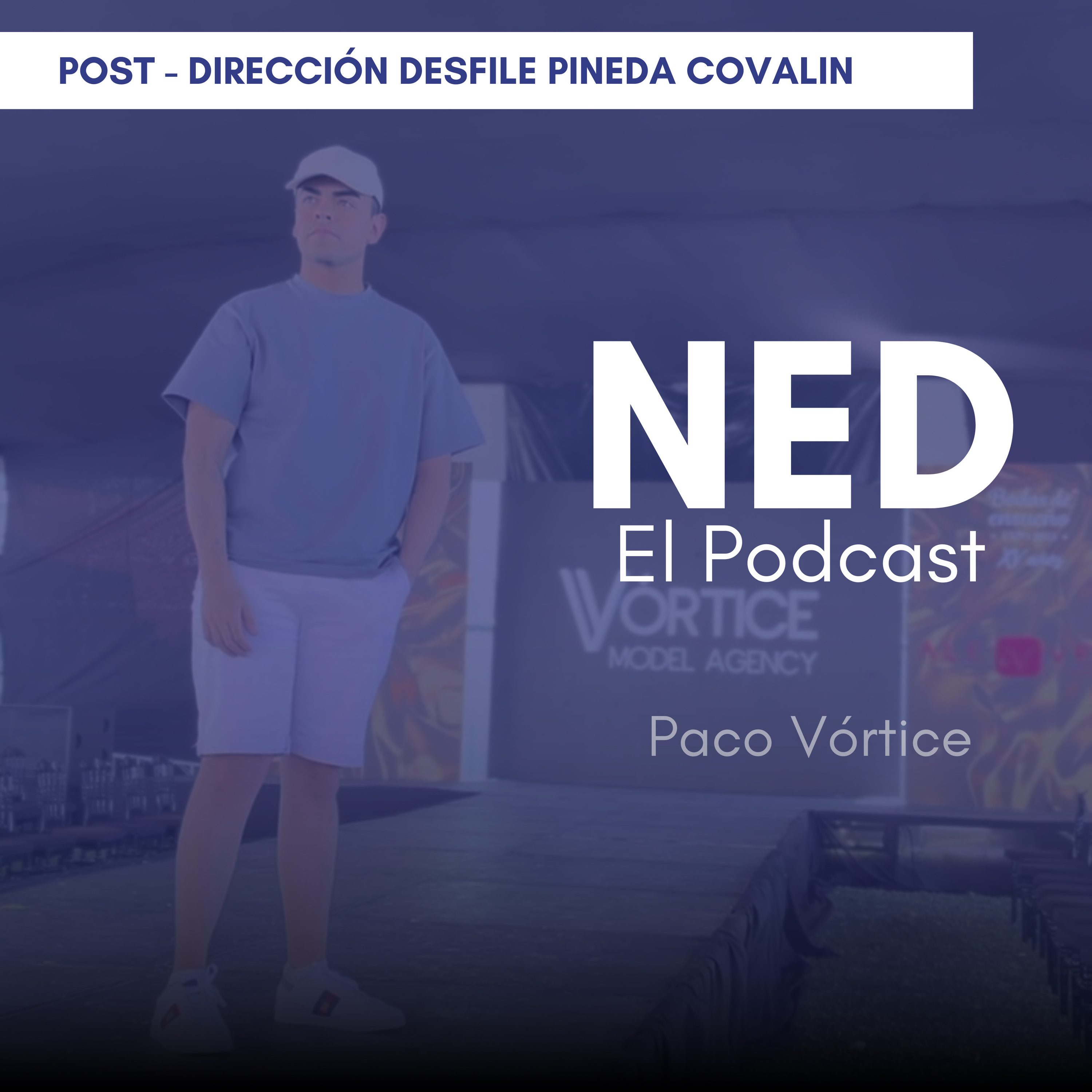 Portada de NED Por Paco Ramírez Vórtice