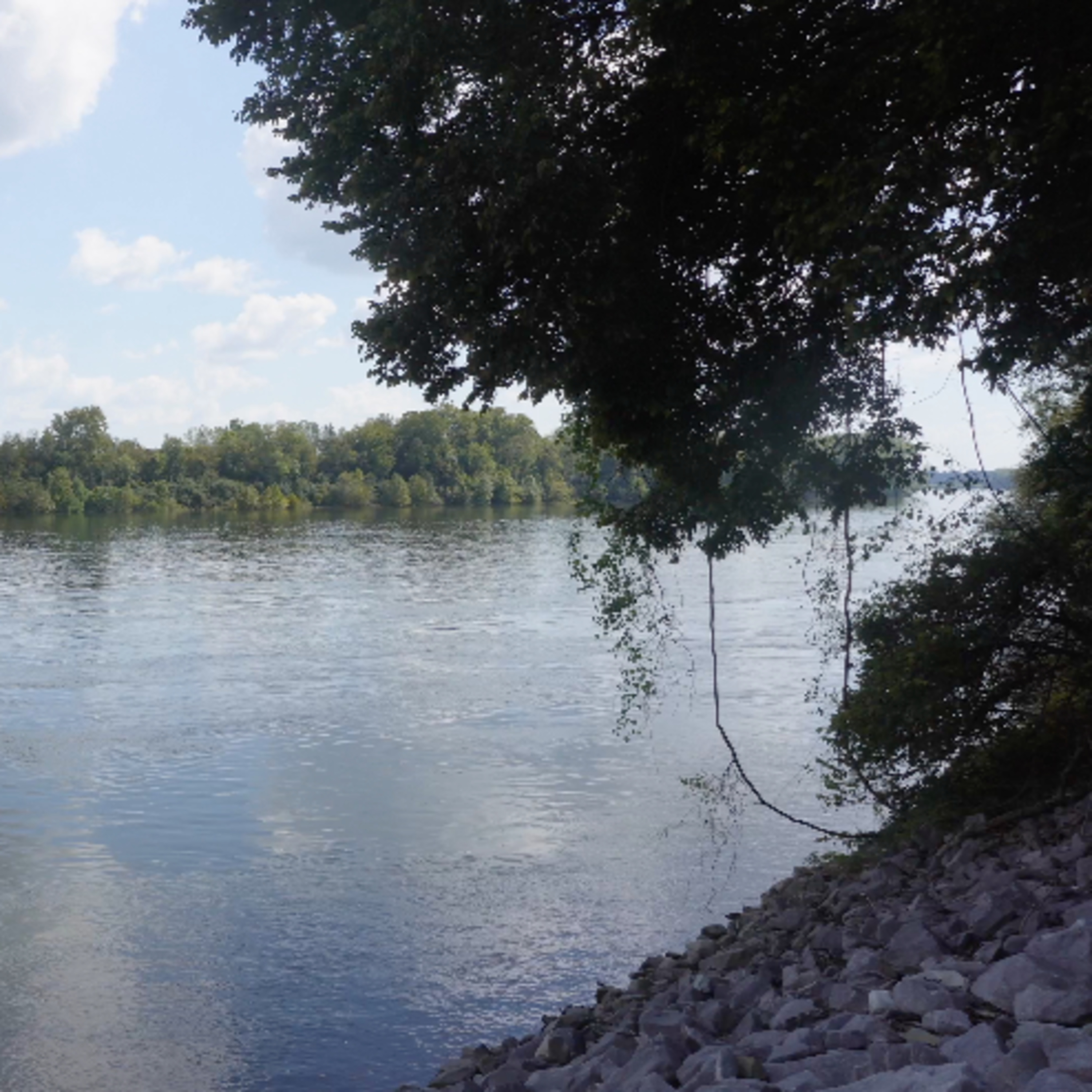 Audio Portrait of a Big Southern River