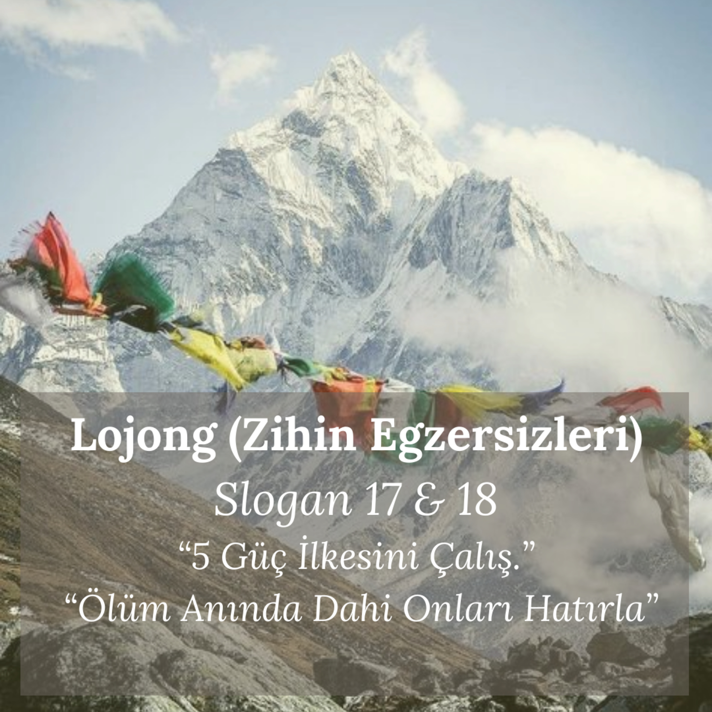Damla Dönmez ile Yoga
