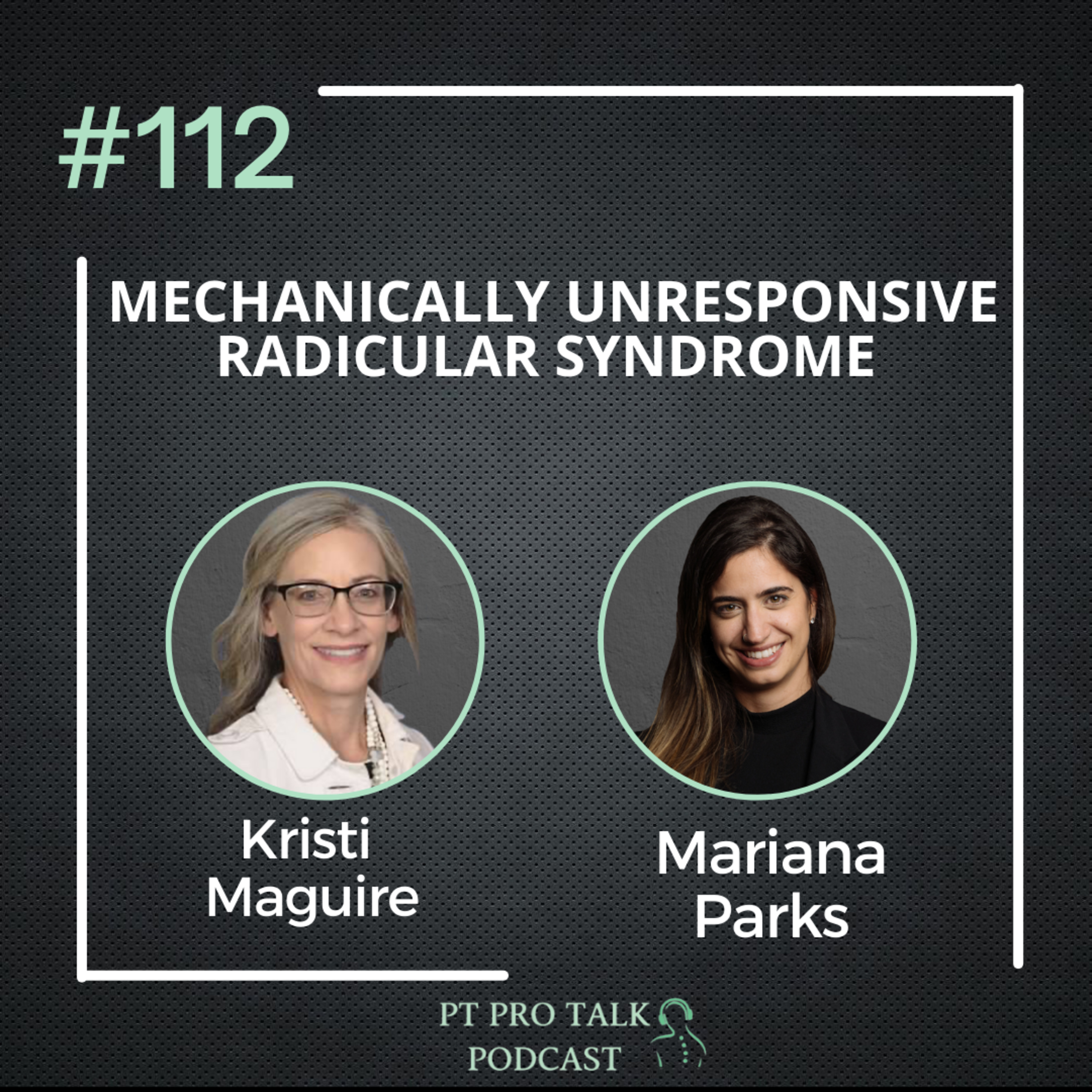 PT Pro Talk