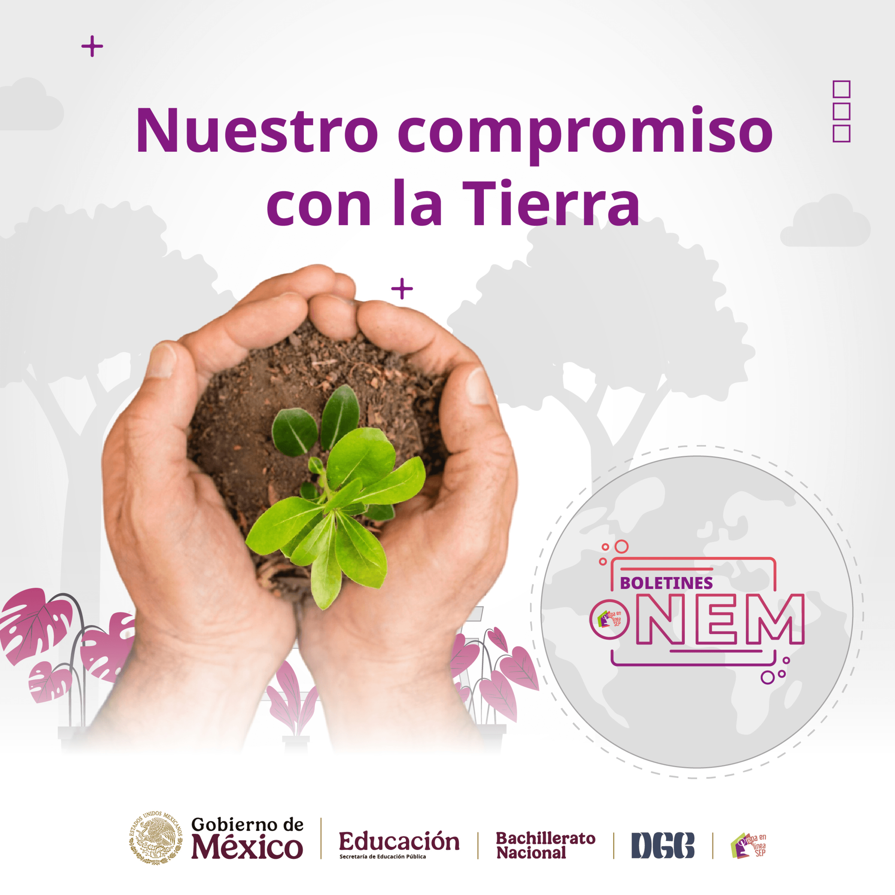 📚 Nuestro compromiso con la Tierra | Boletín NEM | Ep. 03