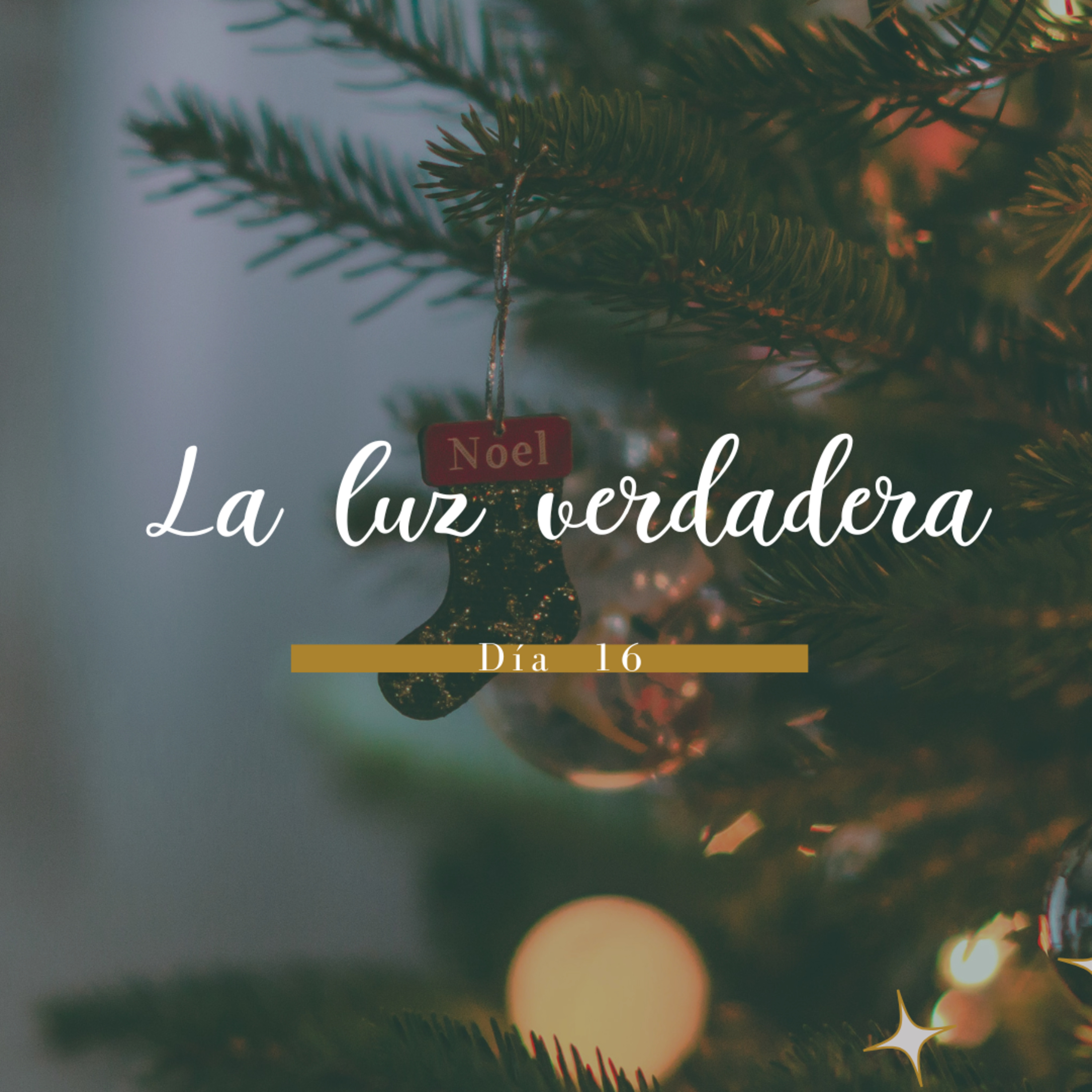 La luz verdadera episode artwork
