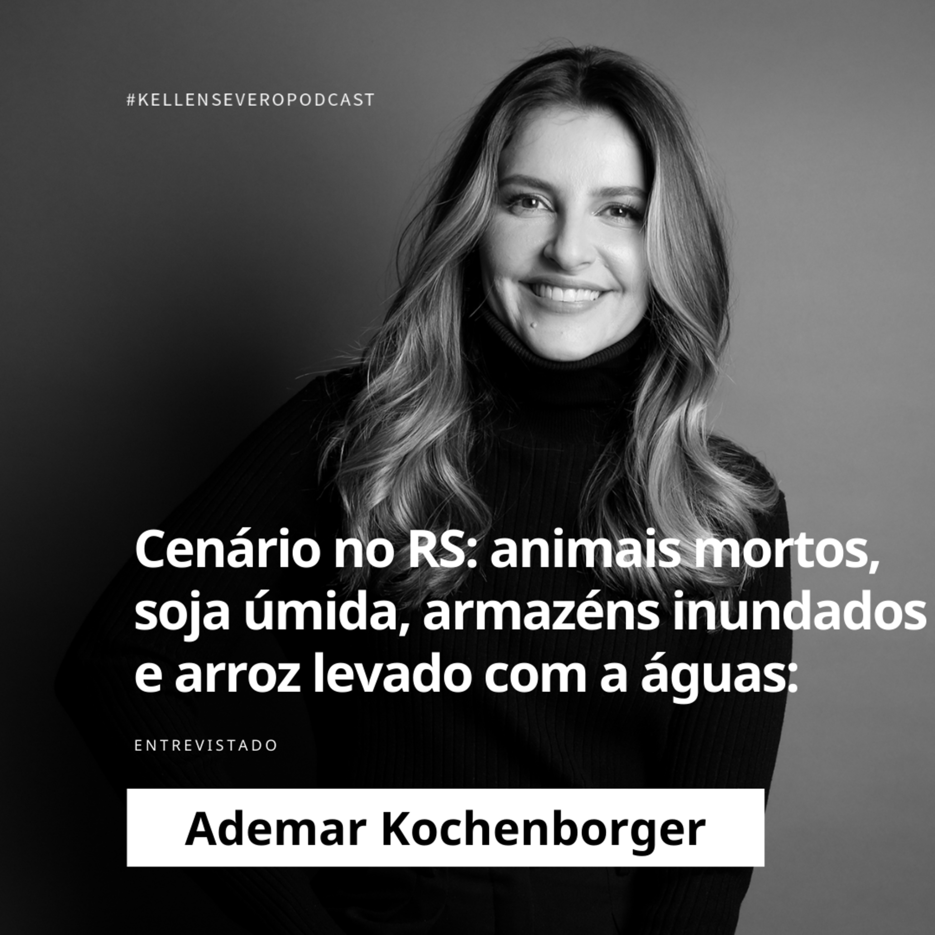 393. Animais mortos, soja úmida, armazéns inundados e arroz levado com a águas: o cenário no RS episode artwork